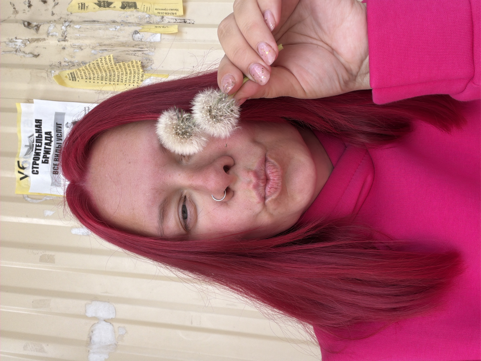 A close-up, rotated portrait captures a person with vibrant reddish-pink hair holding two fluffy dandelion seed heads over their left eye, effectively covering it. The person's right eye is visible, looking towards the viewer, and their lips are pursed in a playful expression. A silver hoop nose ring adorns their left nostril. Their hand, visible at the top of the frame, has manicured nails with a light polish speckled with gold. They are wearing a bright fuchsia-colored hooded sweatshirt.
The background consists of a light beige, possibly corrugated metal or plastic, wall. Numerous torn and weathered paper flyers and advertisements are haphazardly affixed to the wall, suggesting an outdoor, possibly urban or semi-urban setting in Chaikovsky, Russia. Visible text on these flyers, written in Cyrillic, includes phrases such as "СТРОИТЕЛЬНАЯ БРИГАДА" (Construction Brigade), "ВСЕ ВИДЫ УСЛУГ" (All types of services), and lists of services like "РЕМОНТ" (repair) and "ПОКРАСКА" (painting), along with phone numbers (e.g., 8-963-030-24-00) and names like "Михаил строители" (Mikhail builders). The lighting suggests daytime conditions.