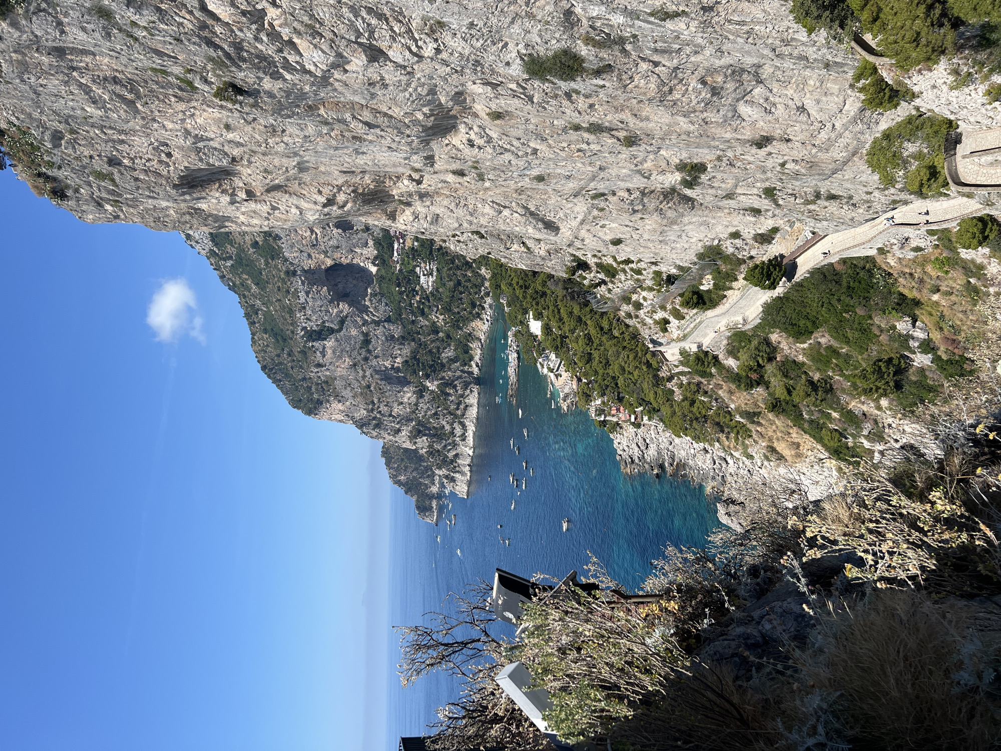 This is a high-angle, eye-level, wide shot of the coastline of Capri, Italy. The image is dominated by a massive, sheer, light-colored rock cliff face that occupies the right two-thirds of the frame. The cliff is rugged and textured, with many indentations and crevices.
Below the cliff, a winding, paved path with a low wall or railing is visible, descending towards the water. Several figures, appearing as small silhouettes due to the distance, are walking along this path. The path is lined with lush green trees and shrubs.
The left third of the image looks down into a cove. The water is a vibrant, clear turquoise blue, with a rocky shoreline. Numerous small boats are anchored in the cove.
In the foreground of the left side, a dense cluster of dry, thorny bushes obscures part of the view, with a metallic fixture, possibly a light or camera, attached to a dark pole extending from the bushes.
The sky is a bright, clear blue with a single, wispy white cloud visible in the upper portion of the frame, behind the distant mountains. The overall scene is bathed in bright sunlight, suggesting a clear, warm day. The view captures the dramatic juxtaposition of the imposing cliffs, the inviting sea, and the human element navigating the landscape.