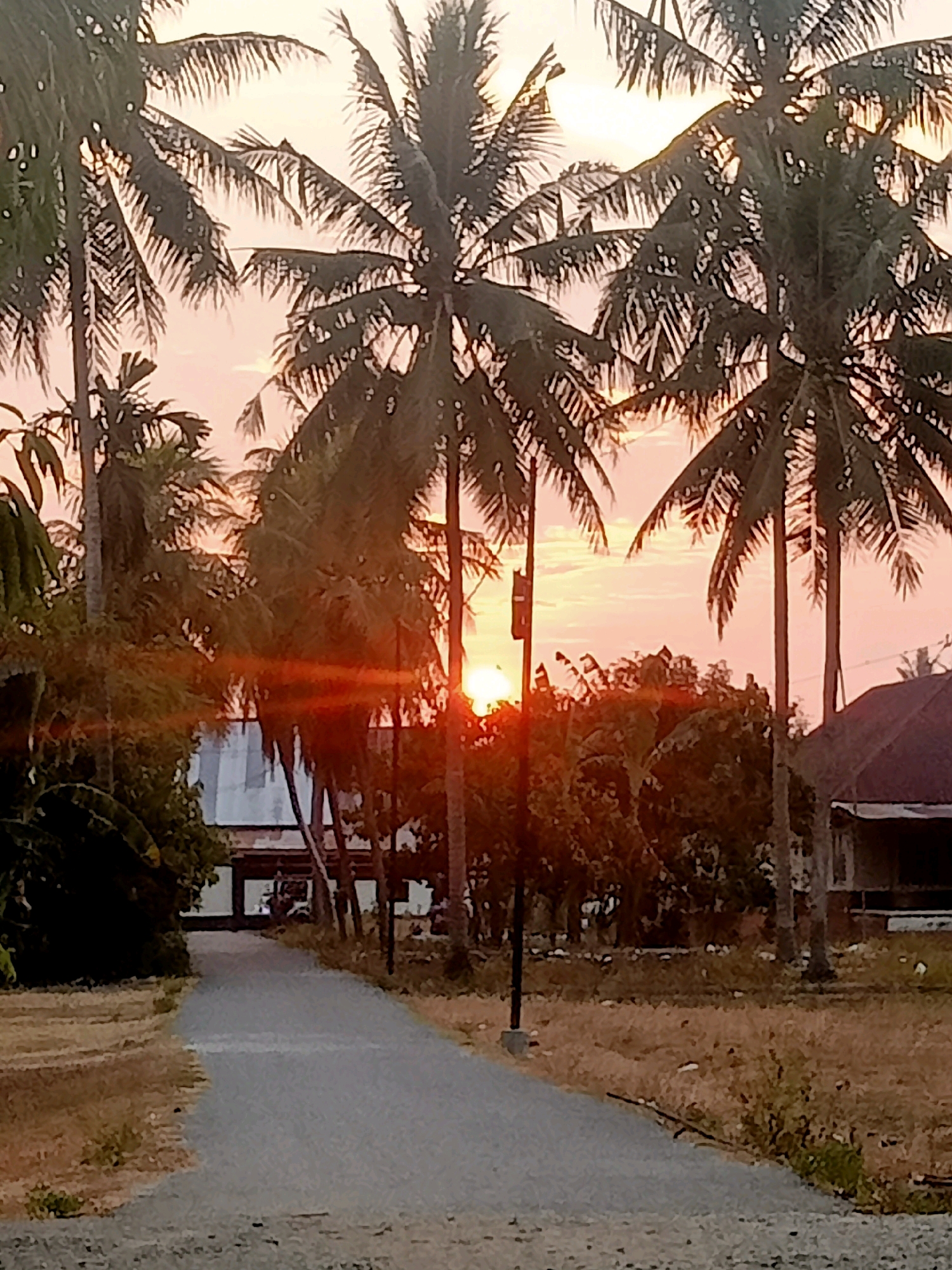 The image depicts a rural road in Mongolato, Indonesia, at dusk. The setting sun casts a warm, orange glow over the scene, silhouetting a cluster of coconut trees on the right side of the frame. A paved road, appearing to be a residential street, leads away from the viewer and curves slightly to the right. On either side of the road, dry, light brown grass and sparse vegetation cover the ground.
In the middle ground, a simple, open-sided building with a dark, pitched roof is visible. The building appears to be of modest construction, possibly a home or a small shop. The overall impression is one of a quiet, rural environment bathed in the soft light of sunset. The scene is devoid of any human presence or activity, emphasizing the tranquil and peaceful atmosphere.