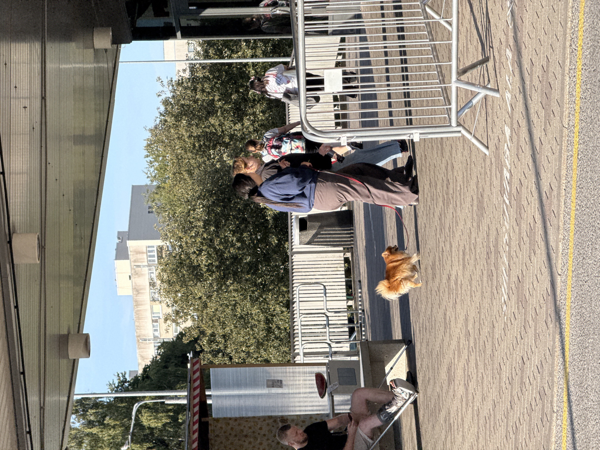 The image depicts an outdoor scene, possibly in a public urban space, with several people and a dog. In the foreground, a man with a cast on his leg is sitting on a bench, looking at his phone, with crutches beside him. A small, fluffy orange dog is walking on a leash in front of him. Behind the man and the dog, a group of three women is walking away from the camera. The women are of varying ethnicities and are dressed in casual clothing. One woman is wearing a blue top and brown pants, another a grey jacket and blue jeans, and the third a white t-shirt and black pants with a backpack. They appear to be interacting with each other.
The background shows trees, buildings, and a metal fence. The architecture of the buildings in the distance suggests a modern urban setting. The overall lighting suggests it is daytime, with sunlight casting shadows.
There is no visual information in the image that indicates the specific location of Tallinn, Estonia. The scene is generic enough to be found in many urban environments.