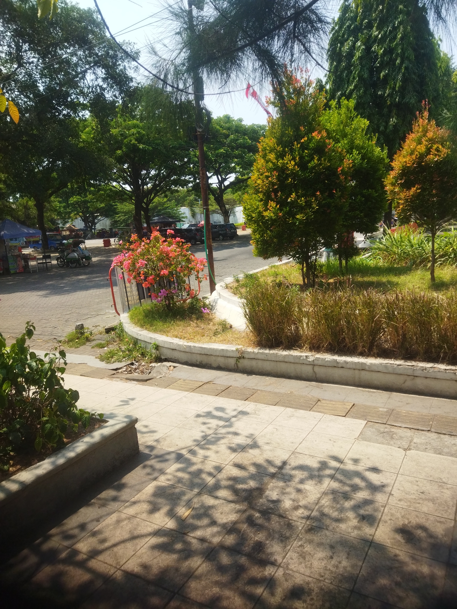 The image captures a sunny outdoor scene in Surakarta, Indonesia. In the foreground, a tiled walkway with distinct squares is visible, casting dappled shadows from overhead trees. To the left, a raised planter bed contains dense green foliage. Beyond this, a low, concrete planter box runs along the edge of the walkway, bordered by dry grass and a small flowering bush with vibrant pink and purple blossoms.
Further back, a paved area, likely a road or parking lot, is seen. Several vehicles are present, including a three-wheeled motorized rickshaw (becak) with a driver and passenger, a car, and a few other parked vehicles. A blue tent or canopy stands to the left, with chairs and a table set up underneath, suggesting a small roadside stall or seating area. In the background, a variety of trees are prominent, ranging from tall, dense evergreens to smaller trees with bright red and green foliage. A red and white flag is visible on a pole in the distance. The sky is clear and bright blue. The overall impression is one of a typical, somewhat weathered urban environment in a tropical climate.