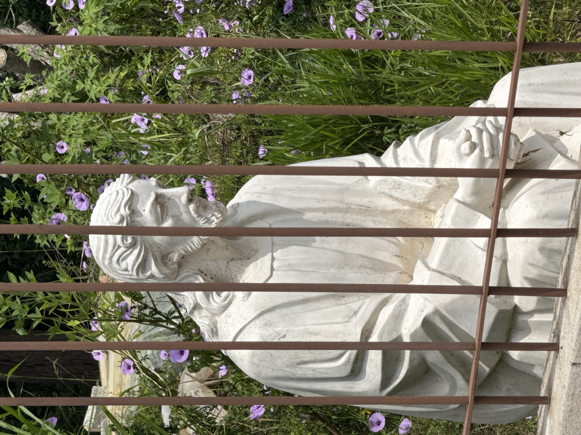 A sideways, medium shot depicts a white statue of a man, possibly a philosopher or religious figure, sitting with his hands clasped in front of him. The statue is partially obscured by a rusty, brown, metal fence with horizontal bars. Behind the statue and fence, there is dense vegetation including green grass and flowering plants with purple blossoms. The location of the statue is in Xuân Hương - Đà Lạt, Vietnam.