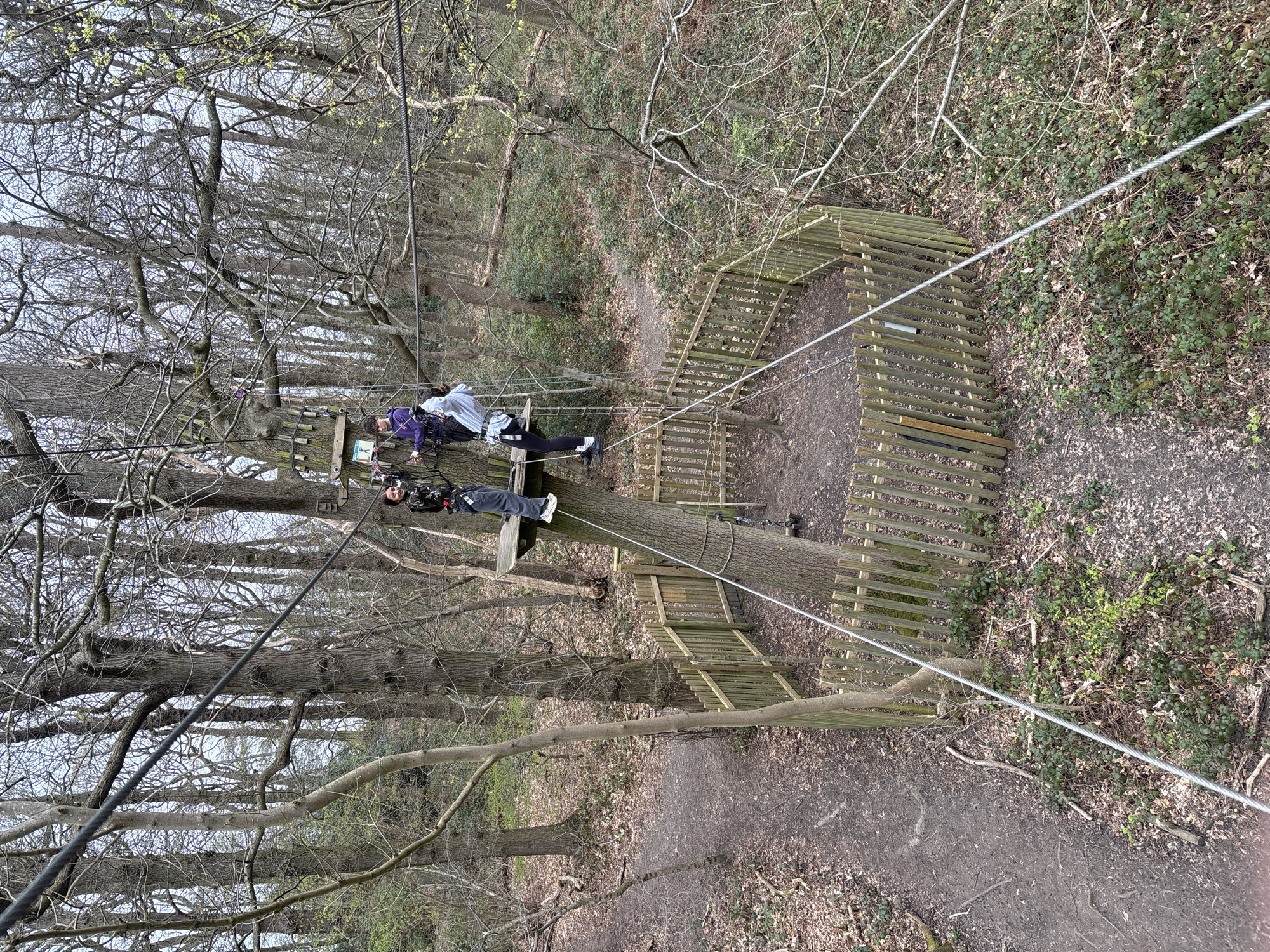 Two individuals are participating in a high ropes adventure course suspended among trees. One person, wearing a white jacket, is in front of the other who is wearing black clothing with what appears to be a purple jacket. They are connected to a steel cable, suggesting they are moving along a zipline or similar aerial obstacle. The course includes wooden platforms built around the trees, and wooden fences line sections of the ground. The environment is a woodland area with a path below. The location is likely in a wooded park within the city of London, United Kingdom, such as Go Ape at Alexandra Palace, given the presence of high ropes courses in that area.
