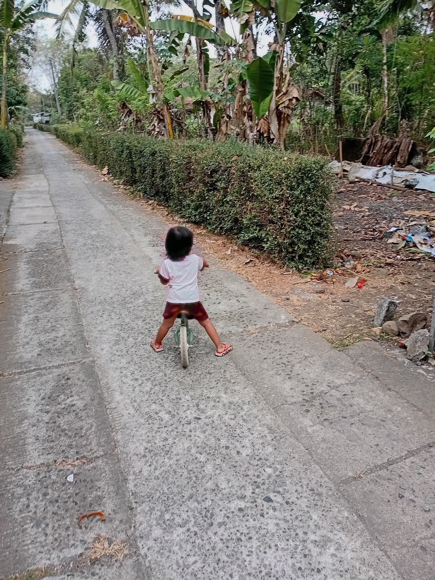 In Gebang, Indonesia, a young child with dark hair, wearing a pink t-shirt and maroon shorts, rides a light blue balance bike down a paved road. The road is bordered on the left by a neatly trimmed green hedge and on the right by a patch of dry earth and some debris, including plastic bags and discarded materials. Beyond the hedge, banana trees and other lush vegetation are visible. The scene suggests a rural or semi-rural setting.