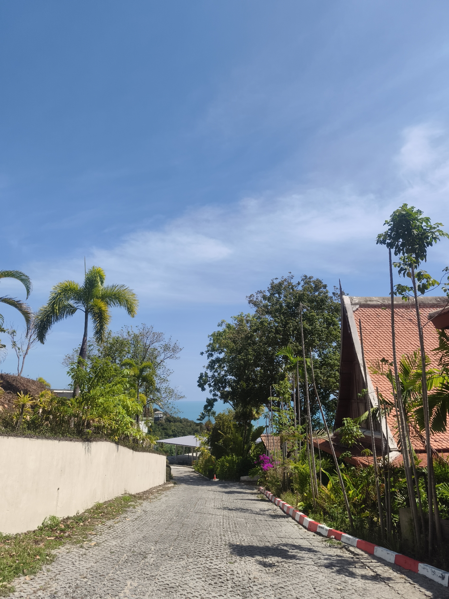 A paved driveway slopes uphill under a bright blue sky with scattered white clouds. Palm trees and lush green vegetation line both sides of the driveway. On the right, a building with an orange tiled roof is visible, partially obscured by tall, slender trees. A red and white striped curb runs along the edge of the driveway. In the distance, the ocean can be seen, with a hilly landscape on the horizon. The scene appears to be in a tropical location, likely Ko Samui District, Thailand, given the vegetation and architectural style.