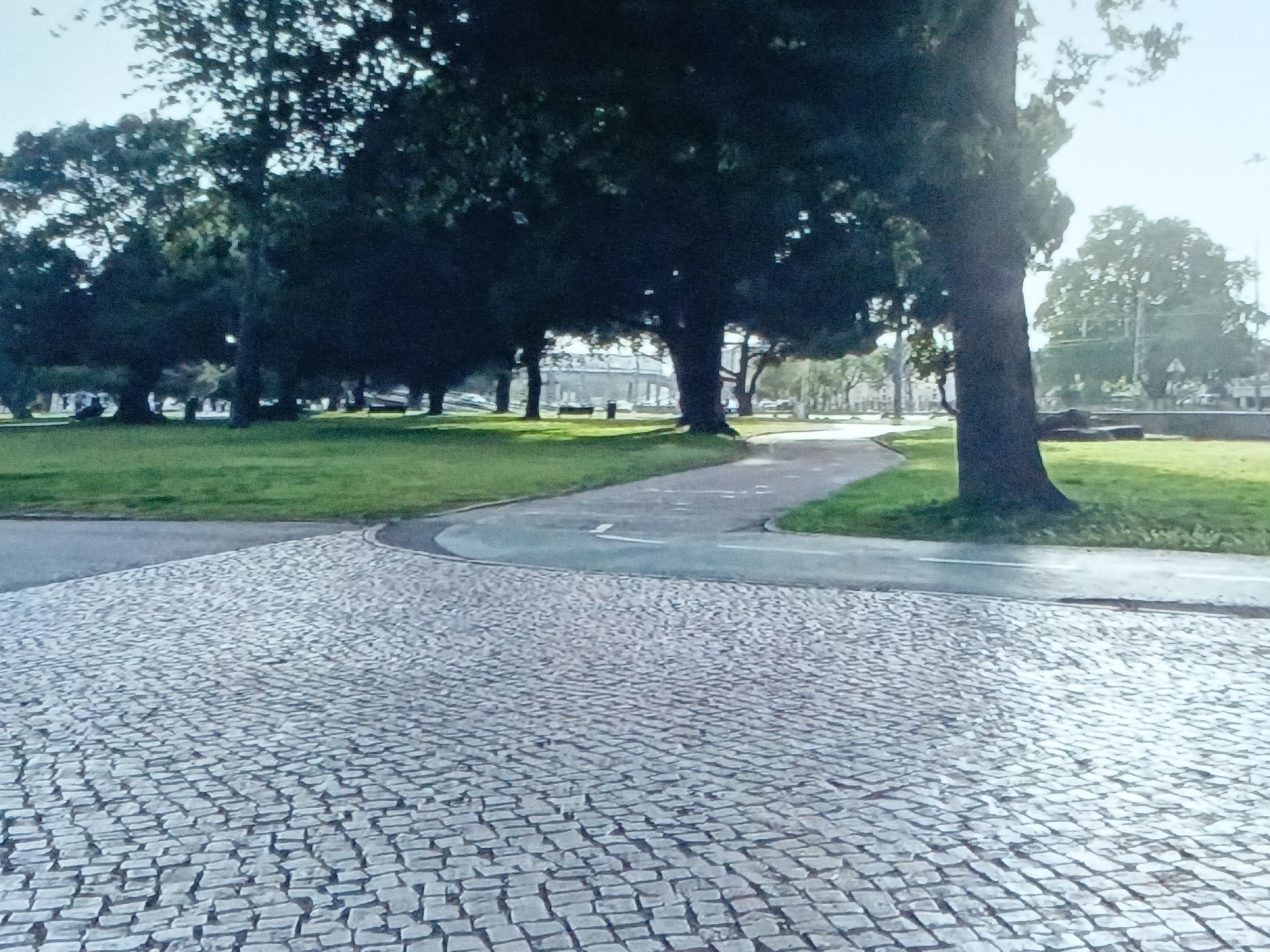 The image shows a park or public space. A gray paved area made of small cobblestones fills the foreground. Beyond that, a light gray path curves through the scene, bordered by green grass and mature trees with dense foliage. In the background, there's a glimpse of what appears to be a bridge or architectural structure and buildings. The location is undetermined, without the ability to confirm it is Juan Griego, Venezuela.