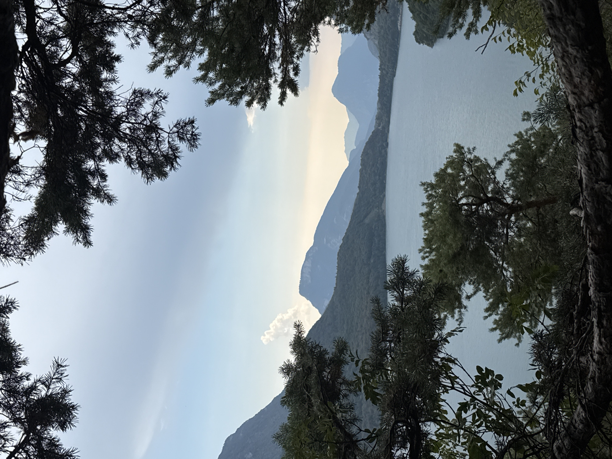 The image captures a serene natural landscape framed by dark evergreen branches, suggesting a view from a forested area overlooking a body of water. In the foreground, the textured bark of tree branches and dense foliage of pine and deciduous trees partially obscure the scene. Beyond the trees, a wide, calm lake stretches into the distance, its surface reflecting the soft, overcast sky. Across the lake, rolling hills covered in dark green vegetation rise, leading to a series of majestic, layered mountains that fade into a hazy, pale blue in the background. The sky is a mix of light blue and muted grey clouds, with a hint of warmer tones near the horizon, indicating either early morning or late afternoon light. A single, wispy cloud formation is visible against one of the mid-ground mountains. The overall impression is one of natural tranquility and expansive natural beauty. The location is described as Unknown, Italy.