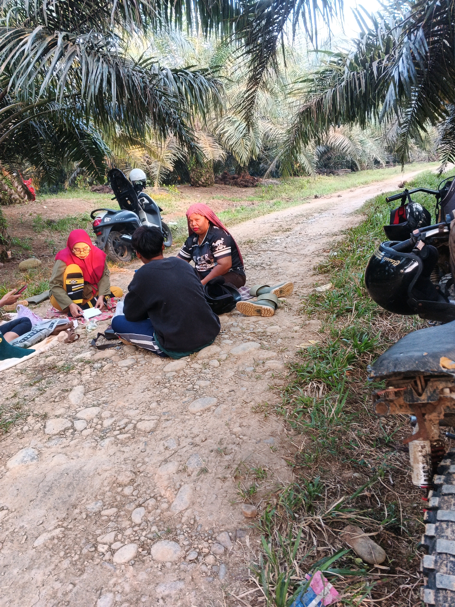 In Batu Ejung, Indonesia, three individuals are seated on a dirt path in a palm oil plantation. Two women, one wearing a red headscarf and glasses and the other a red headscarf and a black t-shirt with white stripes, sit facing a man in a dark long-sleeved shirt. They are surrounded by palm trees, with a dirt road running through the plantation. A scooter is parked behind the group. Several helmets and other items are scattered on the ground near the people and the road. The scene appears to be a casual gathering or rest stop amidst the plantation.