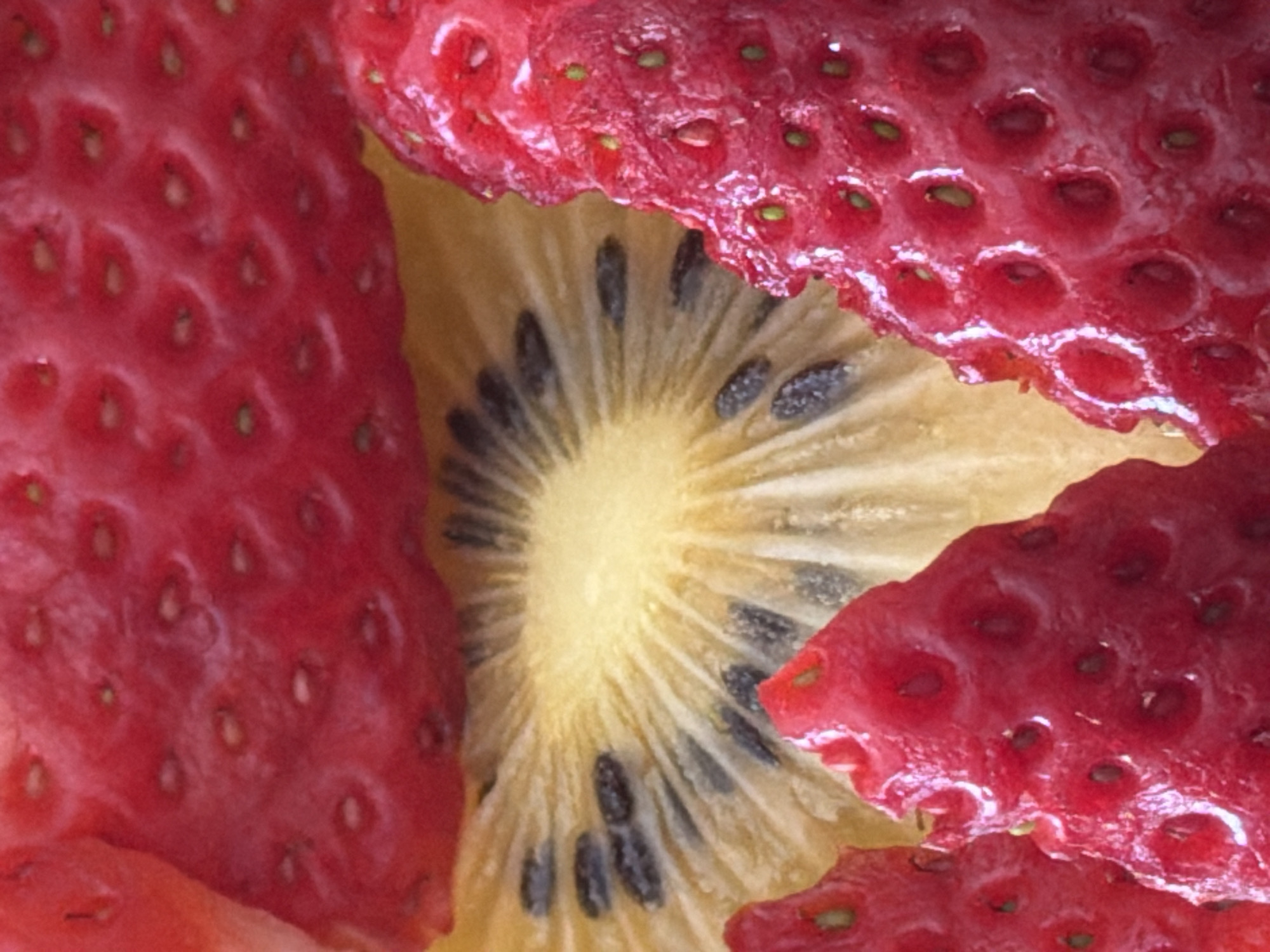 The image is a close-up shot of food, specifically strawberries and kiwi. The strawberries, with their red color and visible seeds, are positioned on either side of a slice of kiwi. The kiwi has a yellowish-white flesh with radiating lines and black seeds. There is no indication of a location in Esch-sur-Alzette, Luxembourg, or any information about people, actions, or interactions.