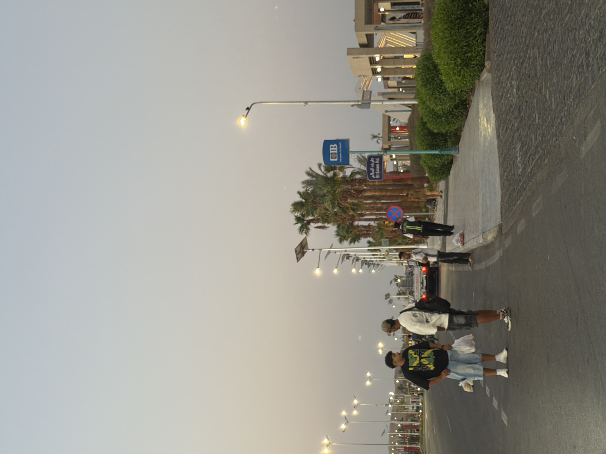This image captures a street scene in Sharm El Sheikh, Egypt, likely during the late afternoon or early evening, given the soft lighting and the clear sky. Two young men are standing on the asphalt road, facing each other and seemingly in conversation. The man on the left wears a black t-shirt with a yellow and green design and light blue denim shorts. He holds two white plastic bags filled with items. The man on the right is dressed in a white t-shirt, dark shorts, and a light-colored baseball cap. He has a dark backpack slung over his right shoulder.
Behind them, a white Chevrolet pickup truck is partially visible, its brake lights illuminated. Further down the road, on the right side, a paved sidewalk is lined with well-maintained green bushes and palm trees. Several lampposts with solar panels are spaced along the street. A blue sign with "IB" and "THE BANK TO TRUST" is mounted on a pole, alongside an Arabic street sign reading "طريق السلام El Salam Rd." In the background, modern architectural structures with illuminated lighting are visible, suggesting a commercial or public area. Another man, wearing a security vest, walks along the sidewalk, and a few other individuals are present in the distance. The overall impression is of a public thoroughfare in a well-developed urban area.