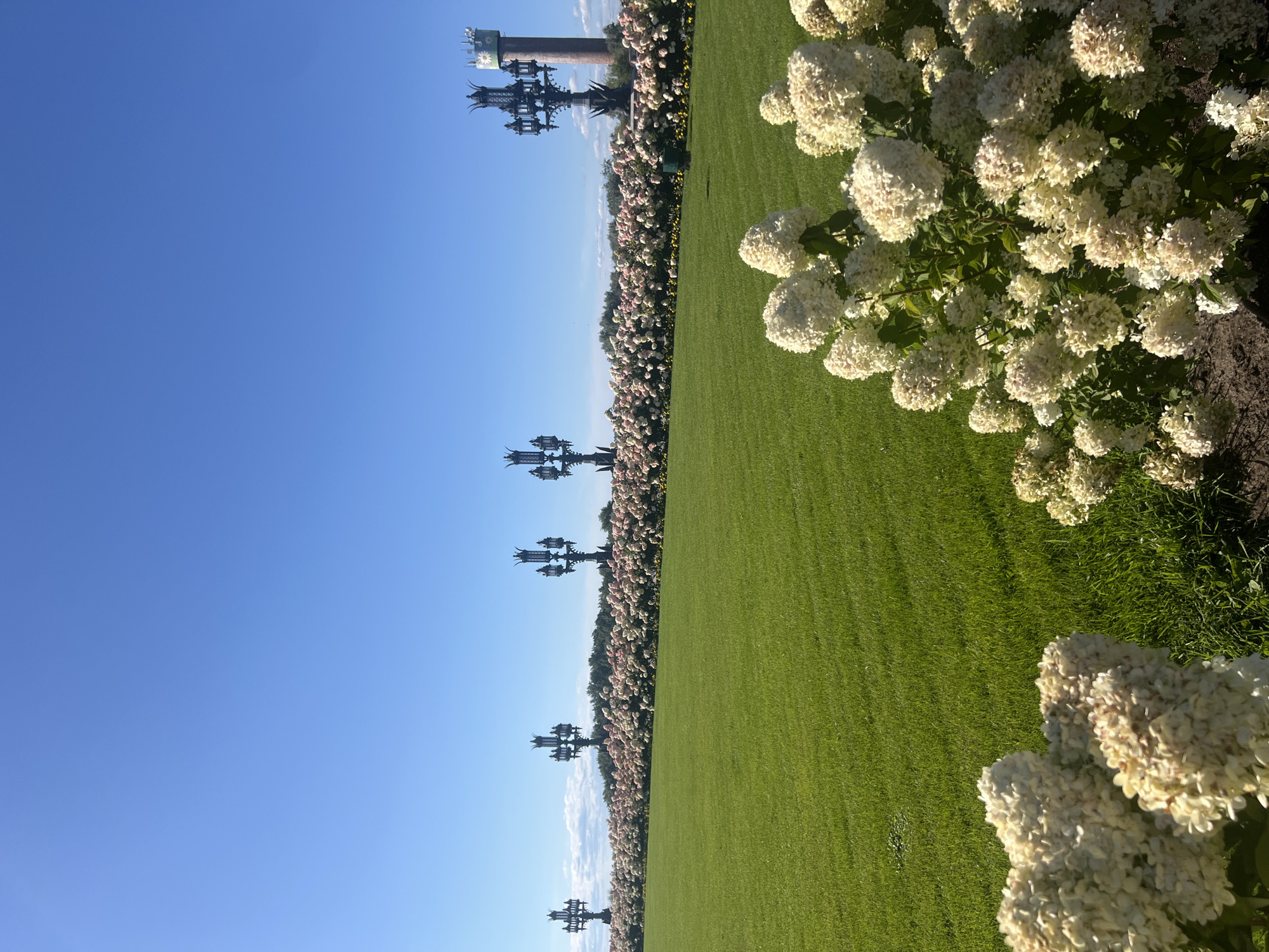 In Khryashchevka, Russia, a meticulously maintained landscape unfolds under a clear blue sky. A vibrant green lawn stretches across the foreground, bathed in sunlight. In the middle ground, a dense border of pink and white hydrangeas forms a picturesque hedge. Behind the flowers, a line of ornate, dark metal streetlights stands as decorative elements, spaced evenly along the horizon. Further to the right, a tall, cylindrical brick tower with a decorative top, featuring a white circular motif, pierces the sky. In the immediate foreground, several large bushes with clusters of creamy white flowers add depth and texture to the scene. The environment appears serene and well-kept, suggesting a public park or garden. There are no people or animals visible in the image.