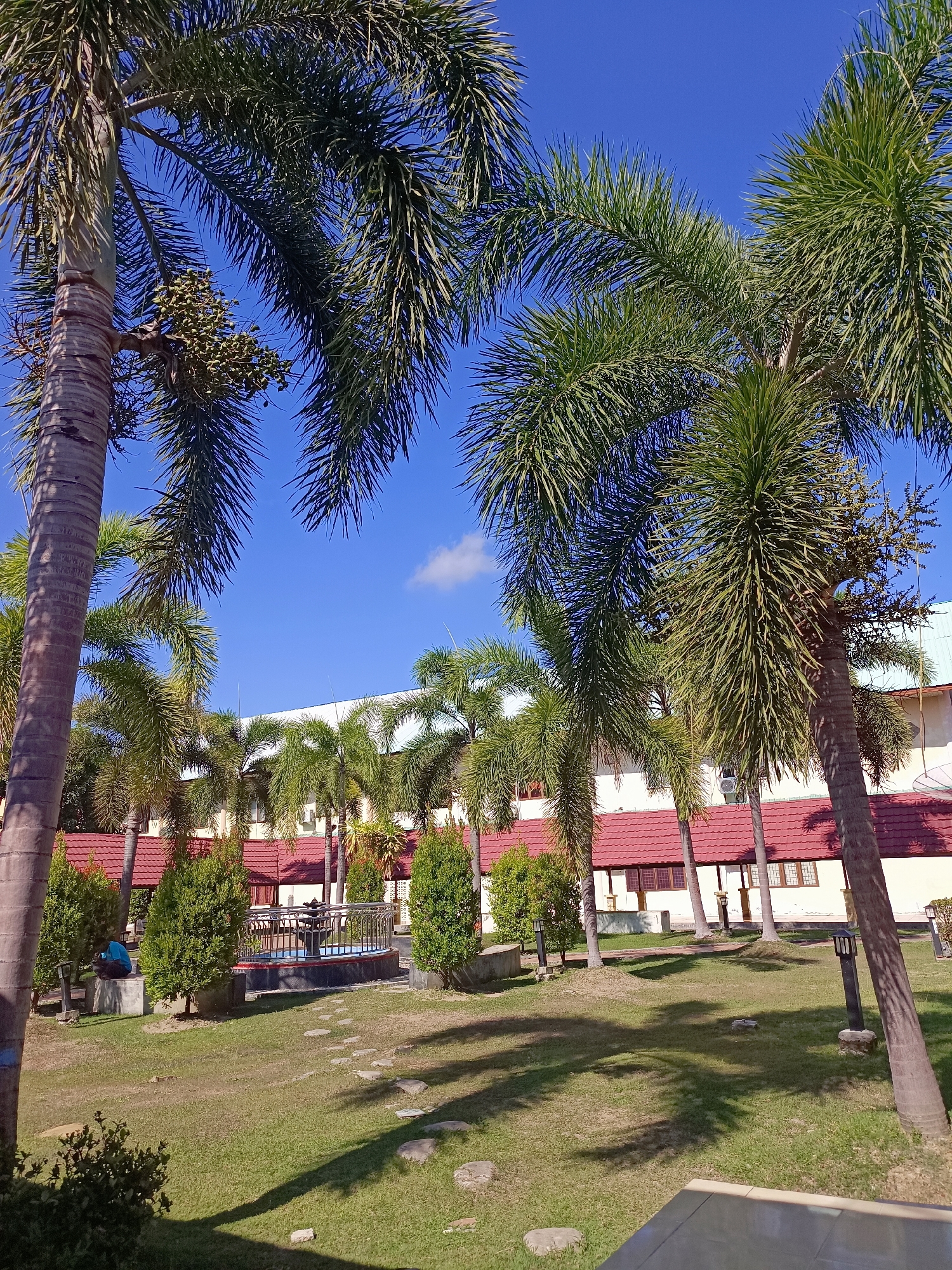 In the city of Mesjid Reuntoh, Indonesia, an outdoor scene unfolds under a bright blue sky. The foreground is dominated by the textured trunks and feathery fronds of several tall palm trees, casting distinct shadows across a well-maintained lawn. A pathway of stepping stones winds through the grass. In the middle ground, a small ornamental pond or fountain area is visible, bordered by a metal railing. To the left of this feature, a lone individual is seated on a low concrete structure. Behind the pond and to the sides, a row of buildings with red-tiled roofs and cream-colored walls are partially obscured by the palm trees and neatly trimmed evergreen bushes. The overall impression is one of a tranquil, perhaps resort-like, setting.