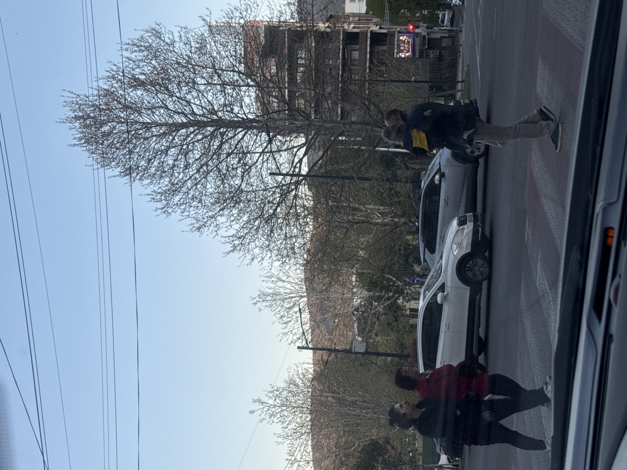 The image captures an urban street scene in Tbilisi, Georgia, during what appears to be late winter or early spring, given the bare branches of the numerous trees lining the street. The sky is clear and blue, with multiple power lines running horizontally across the upper frame.
In the foreground and midground, several people are visible. On the right, a man wearing a dark jacket and light-colored pants is carrying a young child dressed in a yellow top, possibly on a sidewalk or crosswalk. Further to the left, two other individuals are walking, one in a red top and dark pants, the other in a dark top. They are situated near parked cars.
The street features a clearly marked crosswalk with red and white stripes. Several cars are parked along the road, including a light-colored vehicle prominently positioned behind the man and child. The reflection of a dark-colored vehicle, from which the photo seems to be taken, is visible on the far right.
In the background, multi-story buildings of varying architectural styles rise above the trees, confirming an urban setting. A traffic light and a digital display are also visible. The digital display shows red numbers, which appear to read "21" or "24", potentially indicating a temperature, time, or other information. The road surface appears somewhat wet in areas.