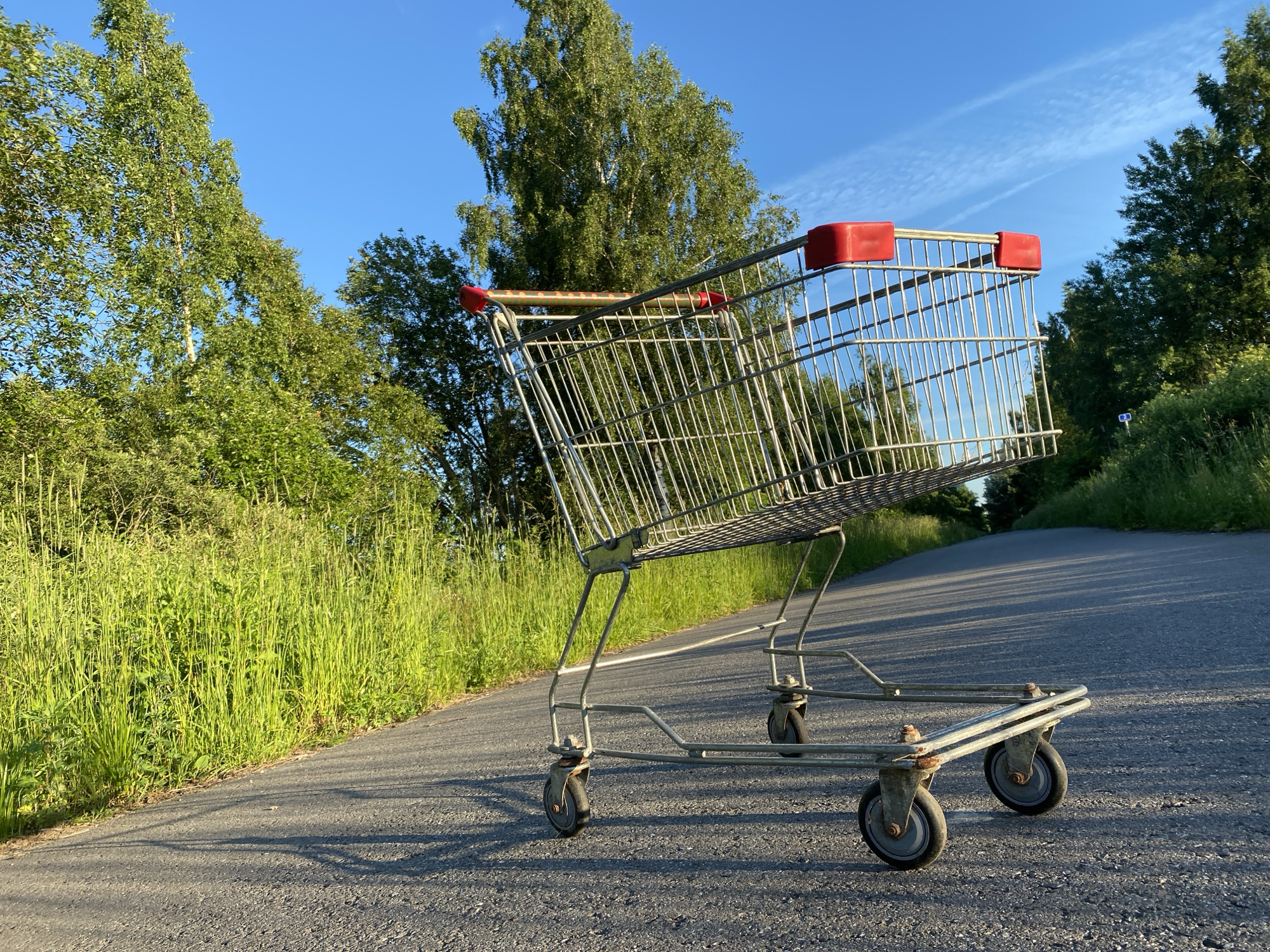 A solitary, empty metal shopping cart with red plastic handles sits on an asphalt road. The cart is angled, appearing to be either going uphill or downhill, with its front wheels closer to the viewer. The road is bordered by lush, tall green grass on the left and a dense line of trees on the right. The sky is clear blue with wispy white clouds. The scene appears to be set in a rural or suburban area outside of the city of Gostitsy, Russia, given the natural surroundings.