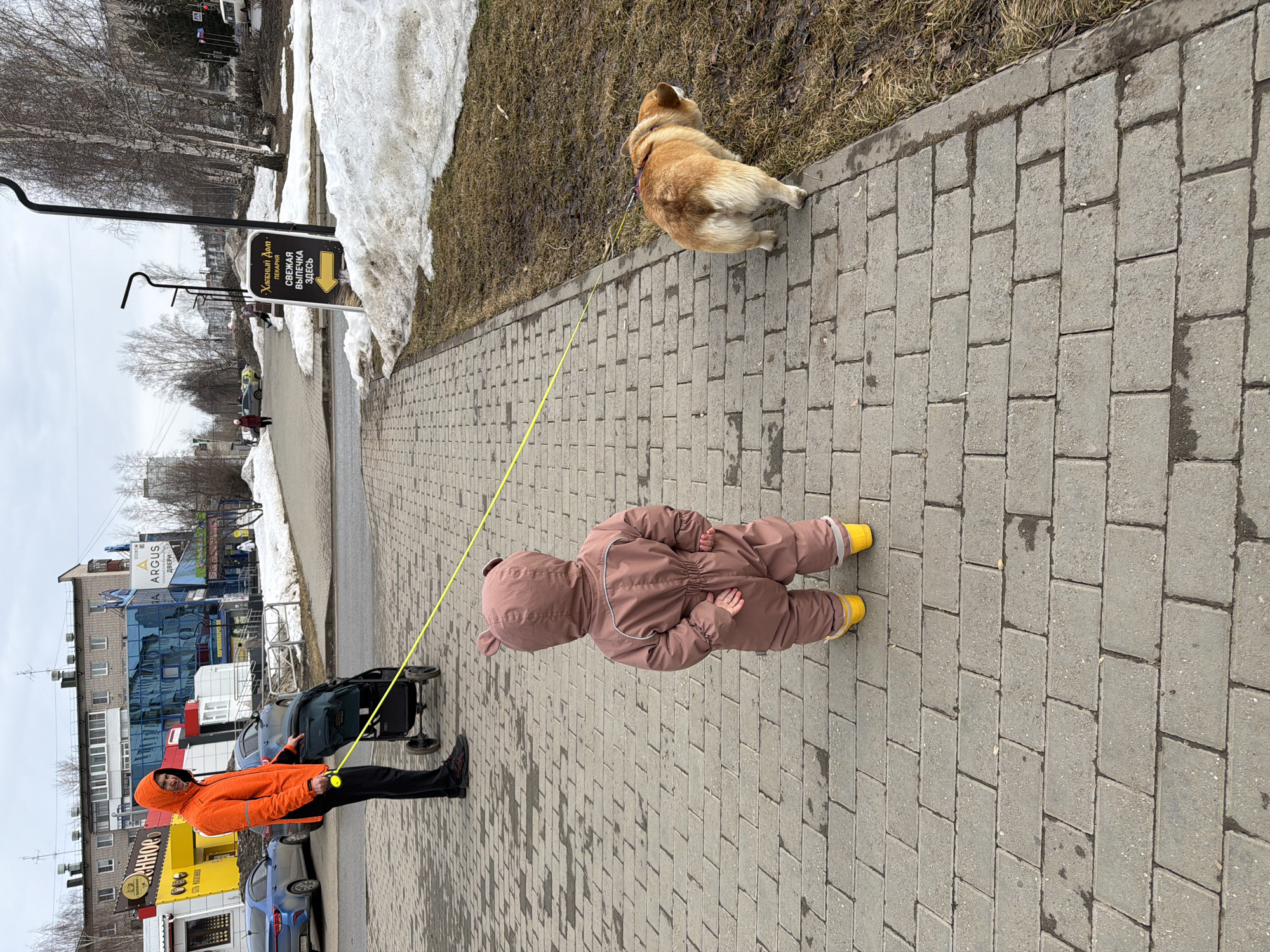 The photo shows a child in a brown bear-like jumpsuit and yellow boots walking a dog on a leash. An adult in an orange jacket and black pants stands nearby with a stroller. They are on a paved sidewalk in what appears to be a residential area. Patches of melting snow are visible alongside the sidewalk. A sign in Russian indicates the direction to a bakery. The backdrop includes apartment buildings and other commercial establishments, including one with "ARGUS ДВЕРИ" signage. The photo was likely taken in the city of Chaikovsky, Russia.