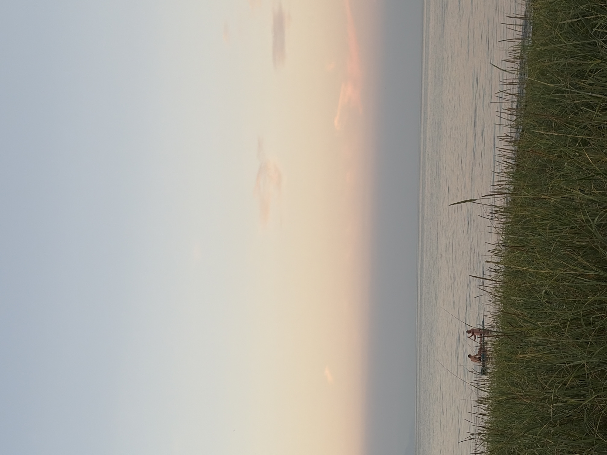 In the city of Ozerskoe, Russia, a tranquil scene unfolds at the edge of a calm body of water, likely a lake, during what appears to be dawn or dusk. The sky is a soft gradient of pale blue at the top, transitioning to warm hues of pink and peach as it meets the horizon. A hazy band of pale gray separates the sky from the water. In the foreground, tall, lush green grass lines the shoreline, its stalks swaying gently.
Further out on the water, two individuals are visible on a paddleboard. One person is kneeling, appearing to be paddling, while the other stands behind them, also holding a paddle. Both individuals are shirtless and appear to be men. Their figures are silhouetted against the soft light of the sky and water. Tall, thin reeds or cattails rise from the water around the paddleboard, interspersed with the foreground grass. The overall atmosphere is one of peacefulness and quiet activity on the water.