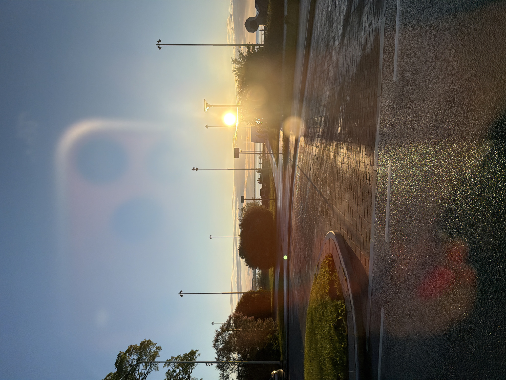 The image depicts a street scene at sunset in Tallinn, Estonia. A road runs diagonally across the foreground, wet and reflecting the golden light of the setting sun. To the left of the road is a patch of grass with a curved concrete curb. Beyond the road, a paved area with rectangular stone bricks is visible, also wet and gleaming. Several lampposts are scattered throughout the scene. In the middle ground, a dense, dark green bush is prominent. Further in the distance, the sun is low on the horizon, casting a strong glare that obscures some details. The sky is a clear blue with a few wispy clouds. A faint circular lens flare, likely from the camera, is visible in the upper right portion of the sky. Silhouettes of a few people can be seen in the distance along a waterfront promenade.