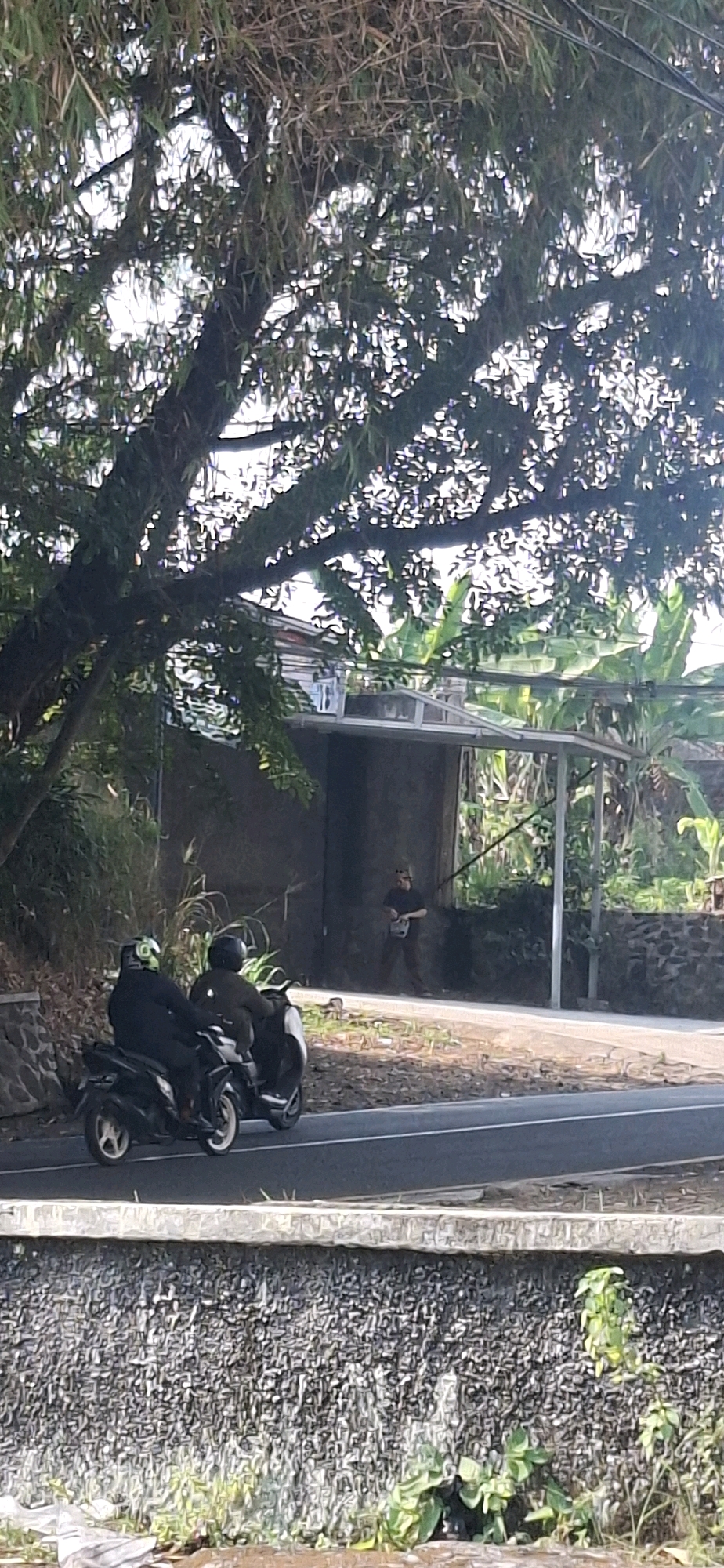 A full-body shot captures a street scene in Cilaku, Indonesia, characterized by lush foliage and a rustic ambiance. Two individuals, clad in dark attire and helmets, are seated on a scooter, their backs to the viewer, suggesting movement along the paved road. Their presence is juxtaposed with a solitary figure standing in the background, holding a metallic object, possibly a tool, and gazing towards the scooter. The backdrop unfolds with a rustic structure, its entrance sheltered by a corrugated roof, and a stone wall adorned with plants. The environment is a symphony of nature and human endeavor, with trees casting shadows and banana leaves adding to the tropical feel, all bathed in the soft glow of daylight.