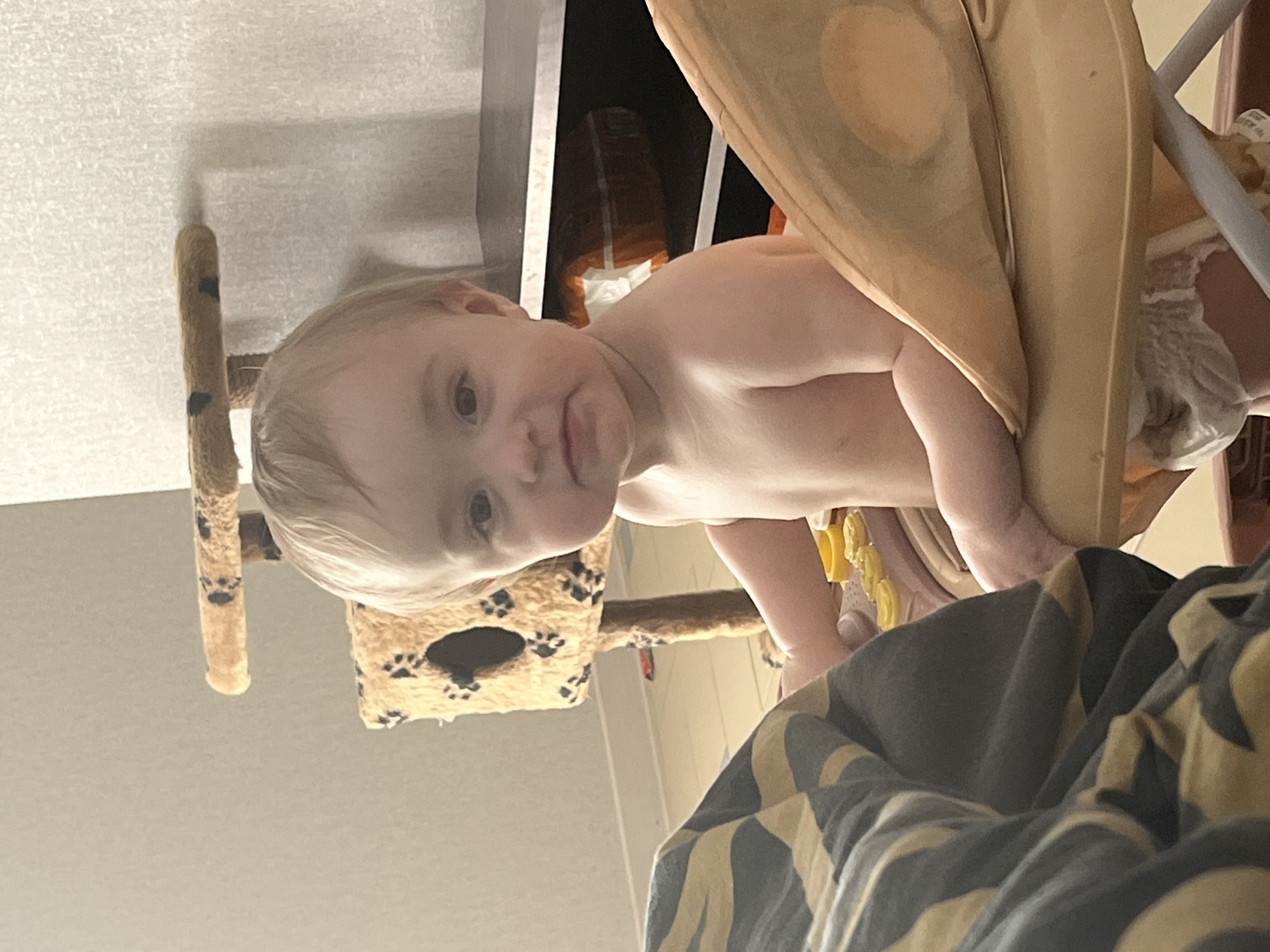 A baby, wearing a diaper, is positioned near a beige high chair and a multi-level cat tree with paw print designs. A striped blanket is visible in the foreground. The location appears to be indoors, possibly a residence. I cannot definitively confirm the location is Chaikovsky, Russia.