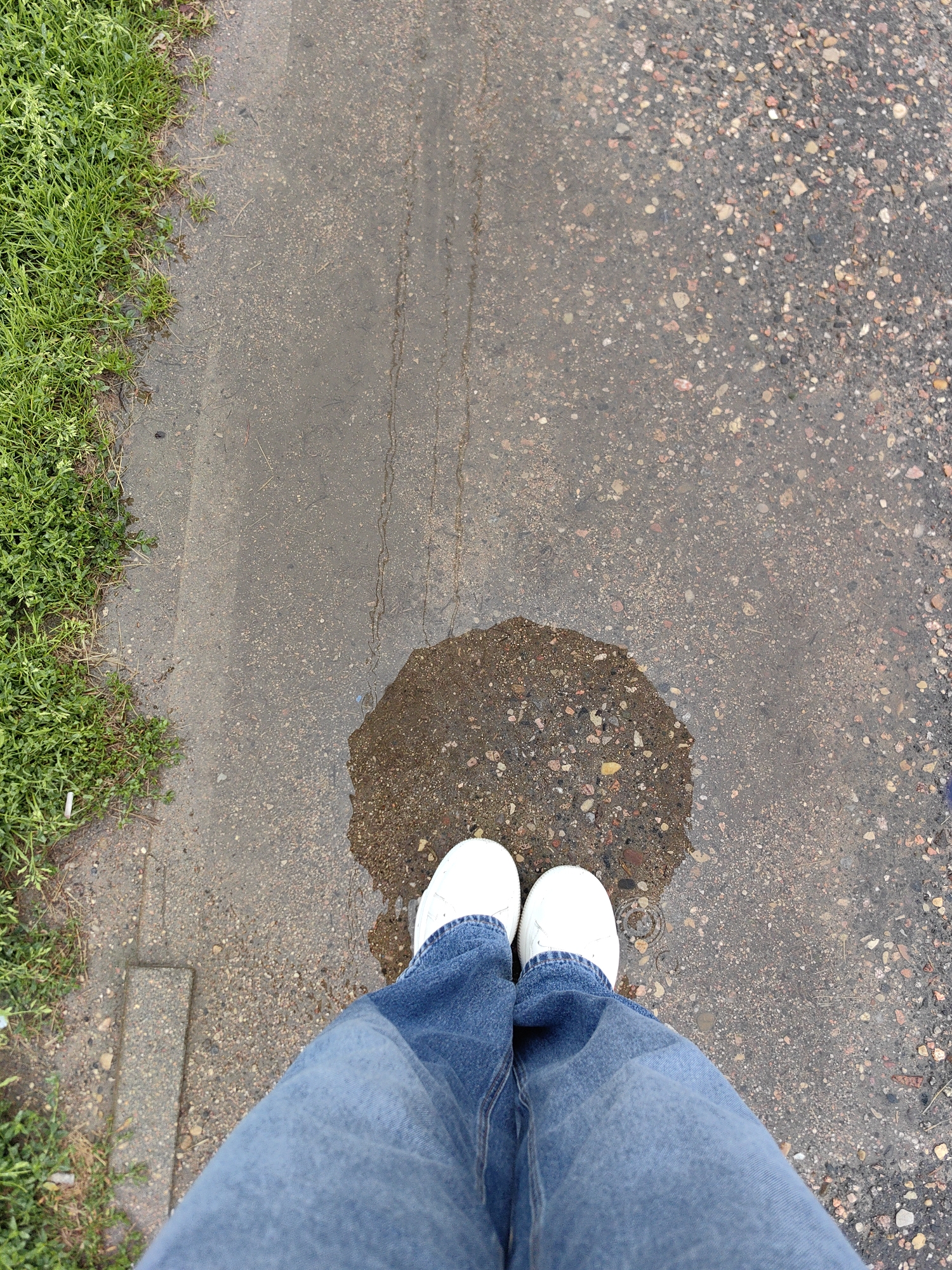 A top-down, close-up shot shows a person's legs from the knee down, wearing blue jeans and white sneakers. The person is standing on a wet, asphalt-like surface speckled with small stones and pebbles. A large puddle of dark water is in front of the person's feet, reflecting the grainy texture of the ground. To the left, a patch of vibrant green grass borders the walkway. The scene appears to be an outdoor urban environment. Based on the provided context, this image was taken in Fanipal, Belarus.