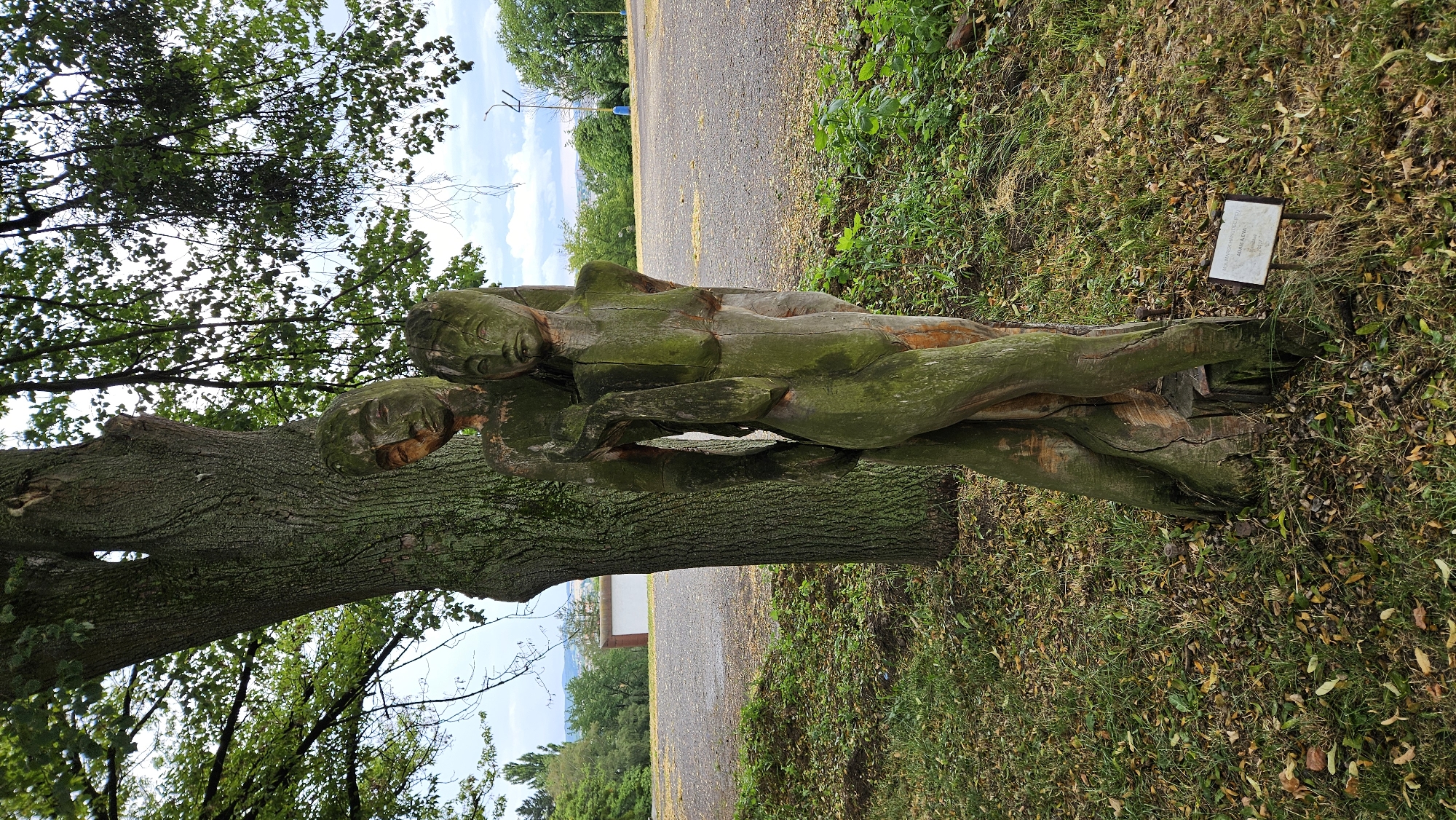 This image depicts a wooden sculpture of two human figures, appearing to be Adam and Eve, carved from a tree trunk. The sculpture is situated outdoors, in what appears to be a park or natural area with grass, fallen leaves, and a large tree behind it. In the background, there is a gravel path, more trees, and a distant view of buildings and the sky. A small informational plaque is placed in front of the sculpture. The sculpture is weathered and shows signs of moss growth, indicating it has been exposed to the elements. The figures are nude and positioned closely together, with one figure's arm wrapped around the other.
The sculpture is located in the city of Prešov, Slovakia, at the monument of Janko Kráľ Park. The artwork is titled "Adam a Eva" (Adam and Eve) and was created by author Vladimír Gašpar.