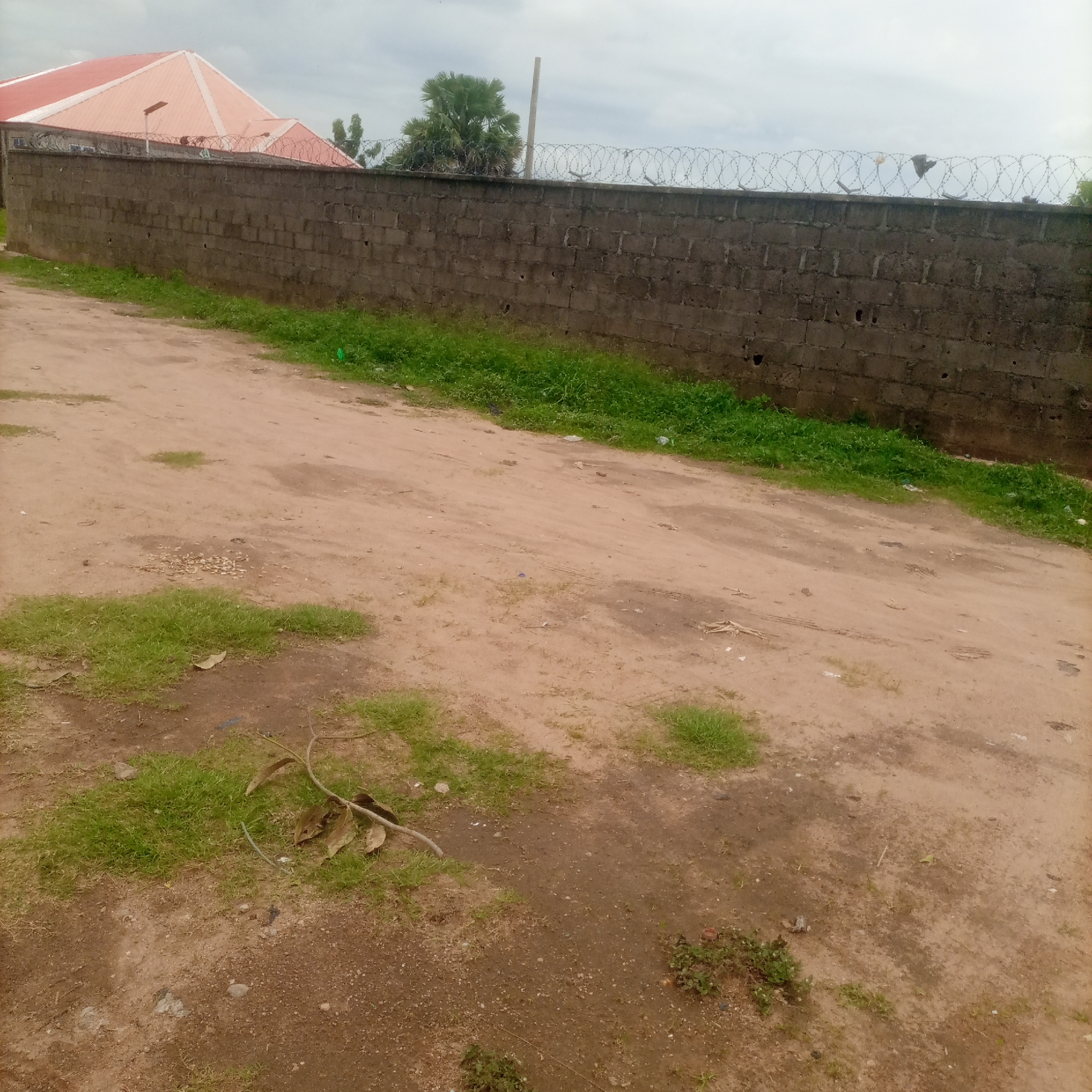 The image depicts a dirt road in front of a concrete block wall topped with barbed wire. A building with a reddish-pink, multi-gabled roof is visible beyond the wall on the left side of the frame. A palm tree stands behind the wall in the center, and a utility pole is present to the right of the palm tree. The sky is overcast. The dirt road has patches of grass and scattered debris, including leaves and what appear to be small stones or gravel. A fallen branch with leaves lies on the grass to the left of the road in the foreground. The scene appears to be an outdoor area, possibly a street or pathway in a rural or semi-urban environment.