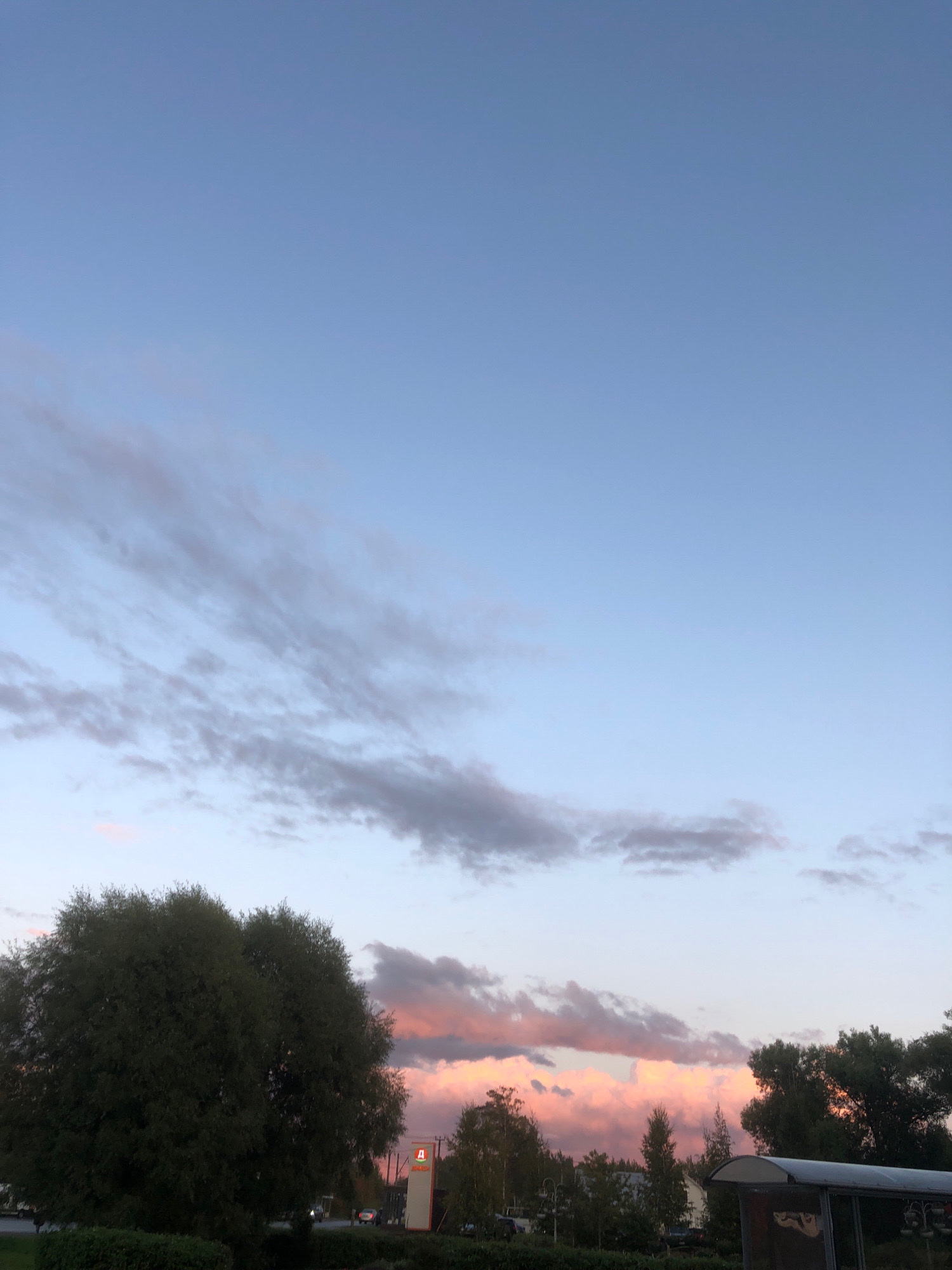 The image captures a sky with a gradient of pale blue to lighter tones, featuring wispy gray clouds at higher altitudes and more substantial, pink-tinged clouds closer to the horizon. In the foreground, a dense, dark green tree dominates the left side of the frame. To the right, there's a glimpse of a bus stop structure with a curved roof, and further to the right, other trees and vegetation are visible. A red and white sign, possibly indicating a business or location, stands vertically in the middle ground, illuminated by a red symbol. The scene appears to be set in an urban or suburban environment, suggested by the presence of the bus stop and the sign. The overall atmosphere is calm, with the sunset colors in the clouds indicating it is late afternoon or early evening. The location is identified as Beloostrov, Russia. There are no discernible people in the image.