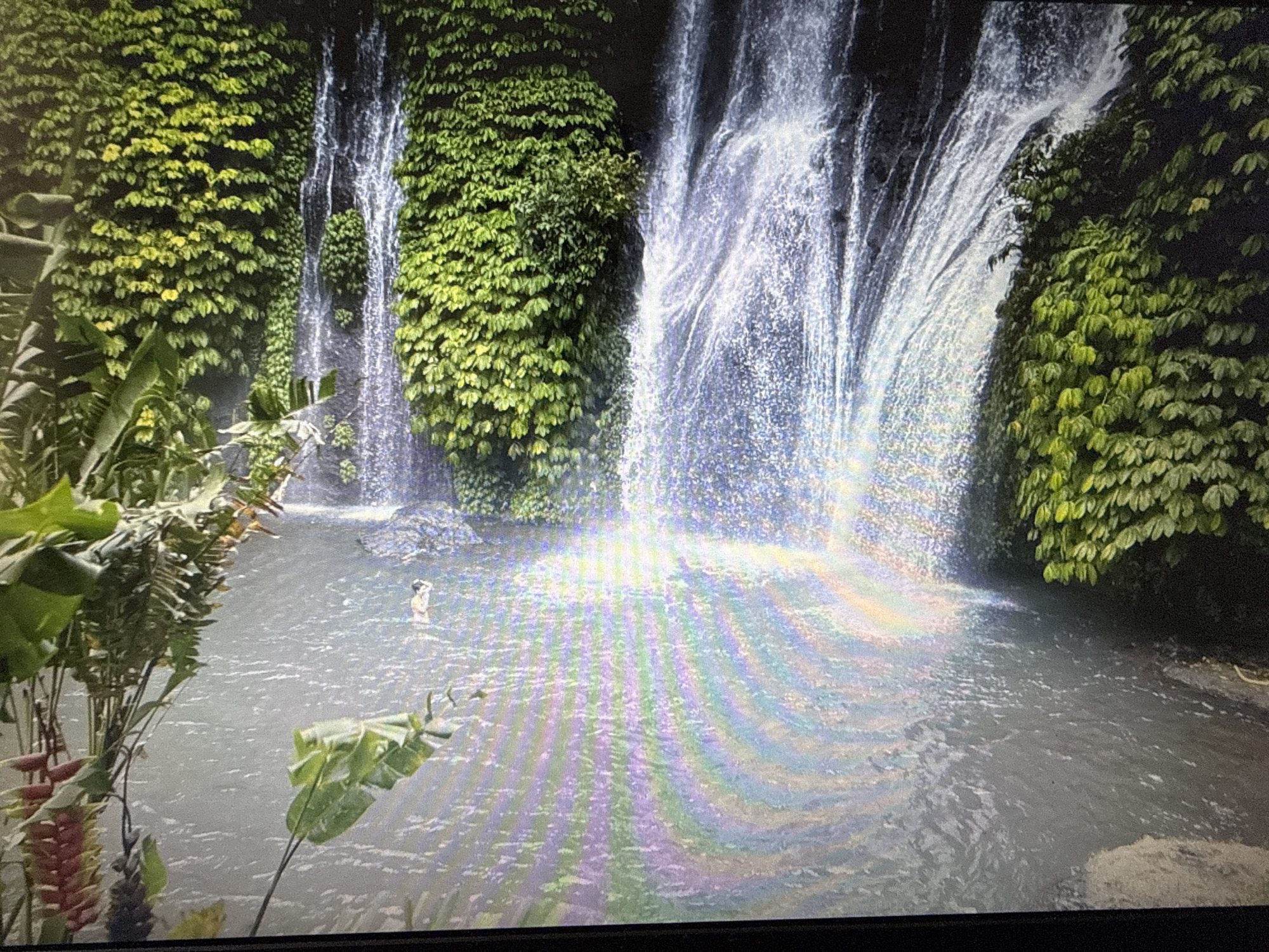The image depicts a natural scene featuring a waterfall cascading down a lush, green cliff face covered in dense foliage. The water flows into a calm pool below. In the pool, a single person, appearing to be a woman with light skin and wearing a dark bikini, is partially submerged. She is standing and looking towards the waterfall. The water reflects a rainbow of colors, likely due to sunlight interacting with the mist from the waterfall. The foreground of the image shows large green leaves and some red and yellow flowering plants. The background is dominated by the dark cliff and the white water of the waterfall. This image is not in Pushkino, Russia.