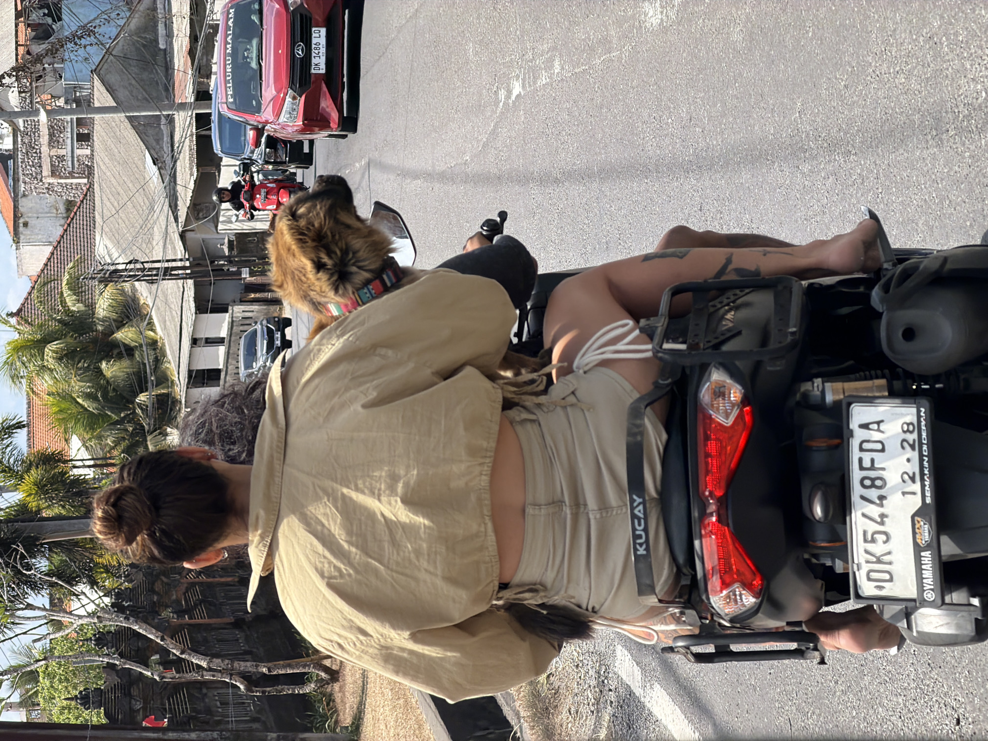 A rear, medium shot captures two people and a dog riding on a scooter on a paved road in an urban environment. The person in the foreground, viewed from behind, has their hair in a bun and wears a tan crop top and tan shorts. They are seated on the scooter, with a dog resting its head on their shoulder. The dog, a fluffy brown breed, wears a colorful collar. The scooter's license plate reads "DK5448FDA". The road is lined with buildings and lush green trees. Traffic is present, with a red car visible in the background. The scene is illuminated by bright daylight.
