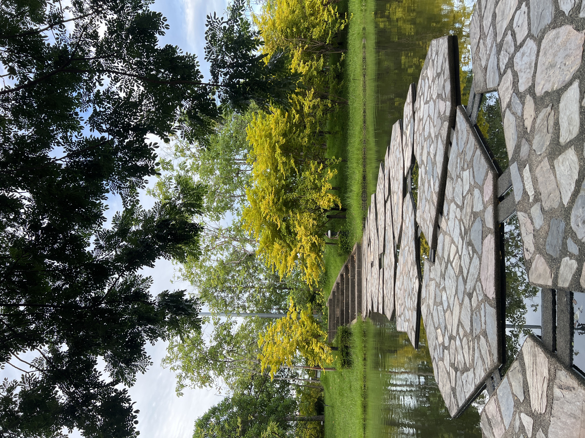 The image displays a serene park scene with lush greenery bordering a tranquil body of water. The foreground is dominated by a unique paved walkway constructed from irregular, flat stones, arranged in a staggered pattern along the edge of the water. This walkway appears to be elevated, with reflective panels beneath some sections, mirroring the surrounding trees and sky.
Beyond the walkway, a vibrant green lawn slopes gently towards the water's edge. A pathway of stone steps leads upwards from the lawn, disappearing into a dense cluster of trees. The trees vary in color, with some featuring deep green foliage and others adorned with bright yellow leaves, suggesting either autumn or a specific species of flowering tree. The water itself is calm, reflecting the sky and the surrounding vegetation, creating a sense of peacefulness.
The sky above is partly cloudy with patches of blue, indicating fair weather. The lighting suggests it is daytime, possibly late morning or early afternoon, as the sun casts soft shadows. The overall atmosphere of the image is one of natural beauty and quiet contemplation. There are no people visible in the scene, and no text is present. The location appears to be a well-maintained park or garden.