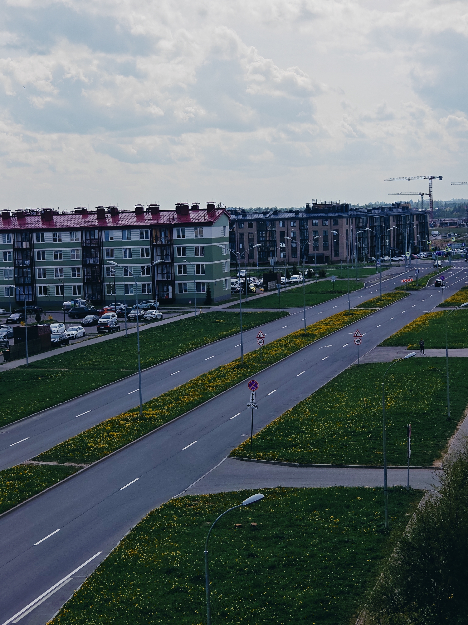 The image depicts a multilane road in Shushary, Russia, flanked by green grassy medians dotted with yellow dandelions. Apartment buildings are located on either side of the road. The building on the left is green with a red roof, and has cars parked nearby. The buildings on the right are darker. Street lights line the road. There are road signs indicating speed limits and parking restrictions. In the distance, construction cranes can be seen. A single person is standing on the sidewalk on the right side of the road. The sky is overcast with grey and white clouds.