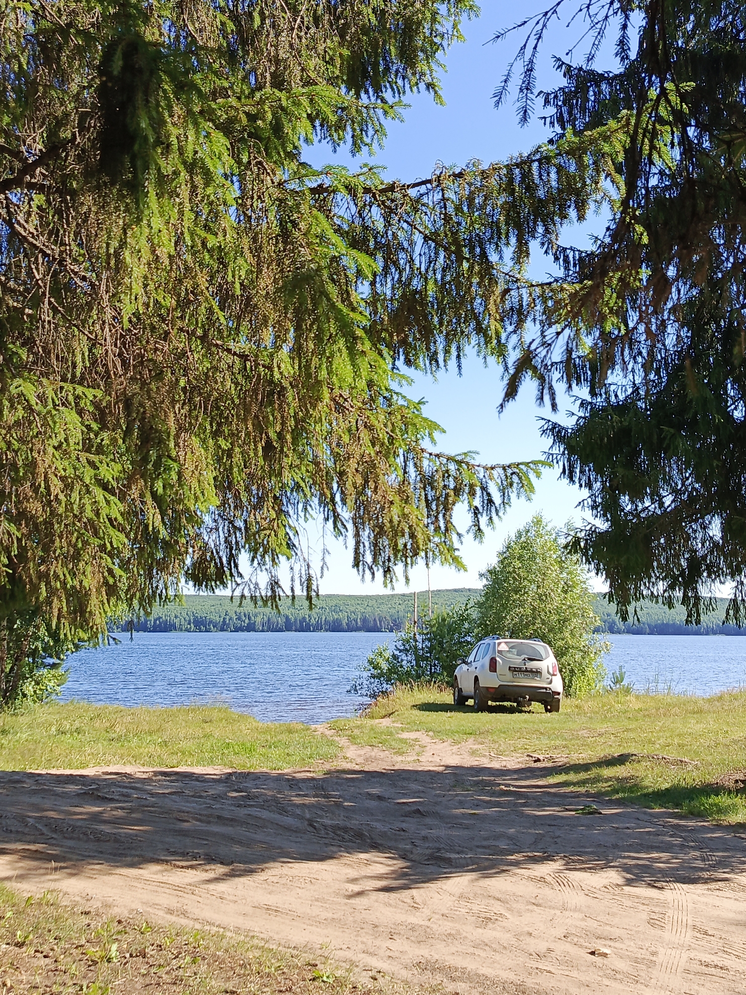 A white car is parked on a grassy area next to a body of water, likely a lake, near the city of Chaikovsky, Russia. The scene is framed by the branches of coniferous trees in the foreground, with a clear blue sky overhead. The ground in front of the car is a dirt path with tire tracks. The water is calm and reflects the blue sky. In the background, a dense forest lines the opposite shore of the water. The car appears to be a hatchback or small SUV, with its rear facing the camera. There are no people visible in the image. The overall impression is one of a natural, serene landscape that is accessible by vehicle.