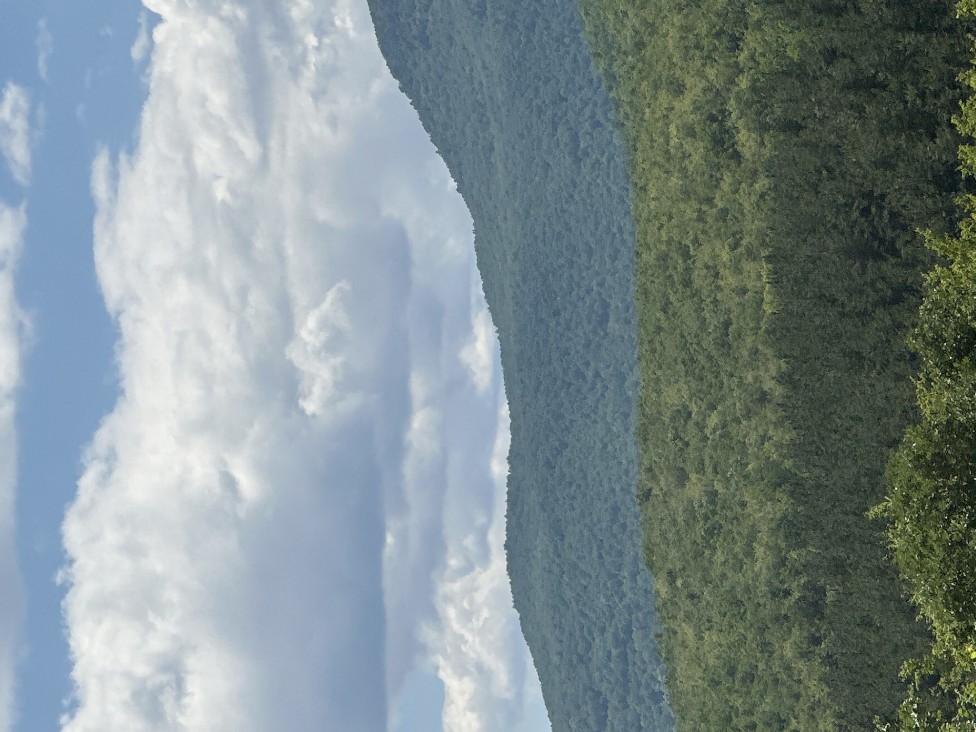The image presents a scenic view in Bulgaria, potentially near or within the city of Tsrancha, though without specific landmarks, definitive location confirmation is difficult. A mountain range covered with dense, green vegetation dominates the right side of the frame. This gradually transitions into a lighter, more diffuse green further into the distance, indicating layers of the mountain or variations in tree cover. To the left of the mountains, the sky is visible, populated with numerous white, puffy cumulus clouds under a light blue sky. These clouds are more abundant on the left, obscuring more of the sky.