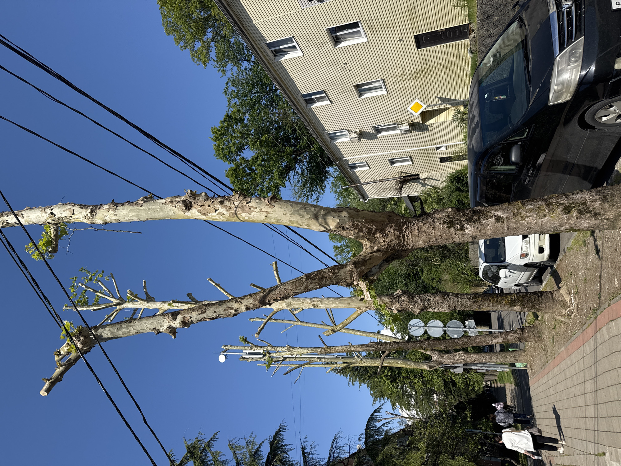 The image depicts a street scene, seemingly in Sochi, Russia, judging by architectural and vehicle types. A row of pollarded trees lines the street, with utility wires running above. A multi-story building with a tan facade and numerous windows is visible in the background, alongside a black van parked at the edge of the sidewalk. Further down the street are traffic signs and a white vehicle. Two individuals are walking on the sidewalk. The sky is clear and blue.