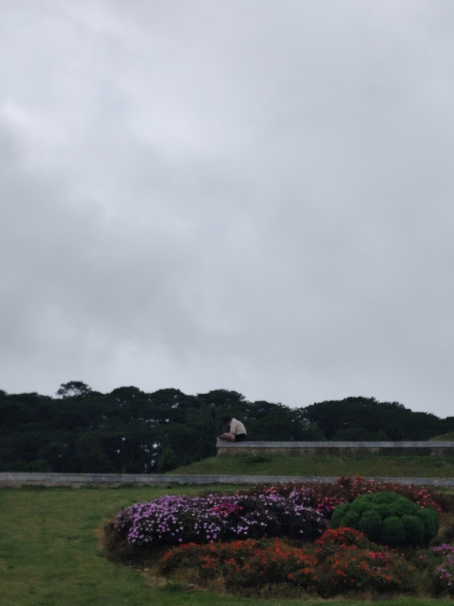 The image shows a person sitting on a low wall overlooking a garden in Da Lat, Vietnam. The garden contains a variety of flowering plants, including purple, pink, and orange blossoms, as well as a rounded green shrub. Behind the wall are dense, dark green trees. The sky is overcast and grey.