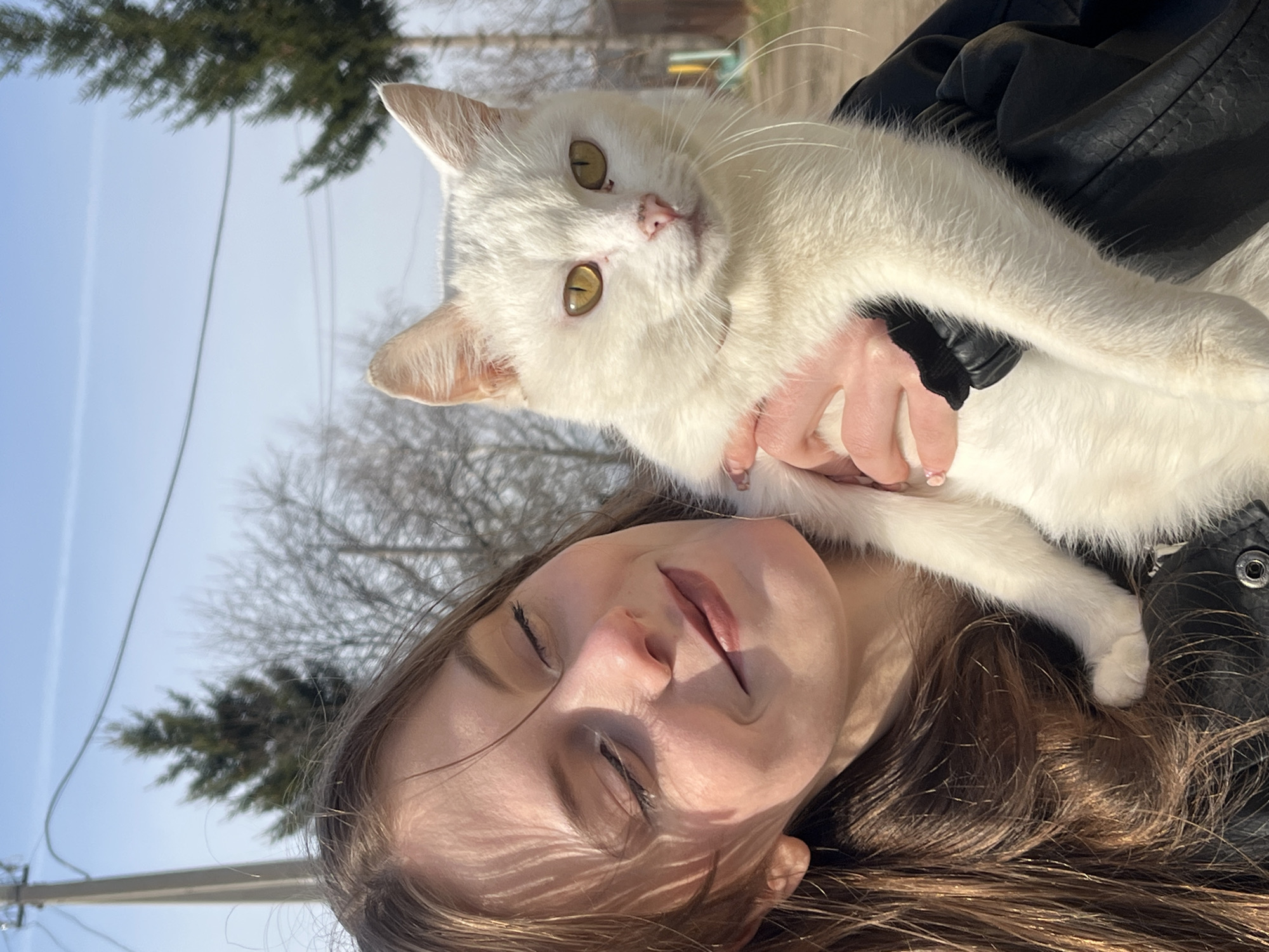 An outdoor portrait photograph shows a young woman holding a white cat, taken in what appears to be a rural or suburban setting, with the provided context indicating Foky, Russia. The image is currently displayed rotated 90 degrees clockwise.
The woman, with long brown hair, is seen from the chest up, with her face partially obscured by sunlight and shadows, suggesting her eyes are closed in a relaxed expression. She appears to be wearing a black leather jacket. Her right hand is visible, gently supporting the cat.
The white cat, with distinctive bright yellow eyes and a pink nose, is held in the woman's arms, looking directly towards the camera with a neutral to slightly curious gaze. Its white fur is prominent against the dark jacket and the bright outdoor light.
The background consists of a clear, bright blue sky. Bare deciduous trees and dark green coniferous trees are visible, indicating an outdoor scene likely during late winter or early spring. Power lines and utility poles are also present in the background, further suggesting a non-urban environment. Strong, direct sunlight illuminates the subjects, creating distinct shadows on the woman's face and hair. No text is visible in the image.