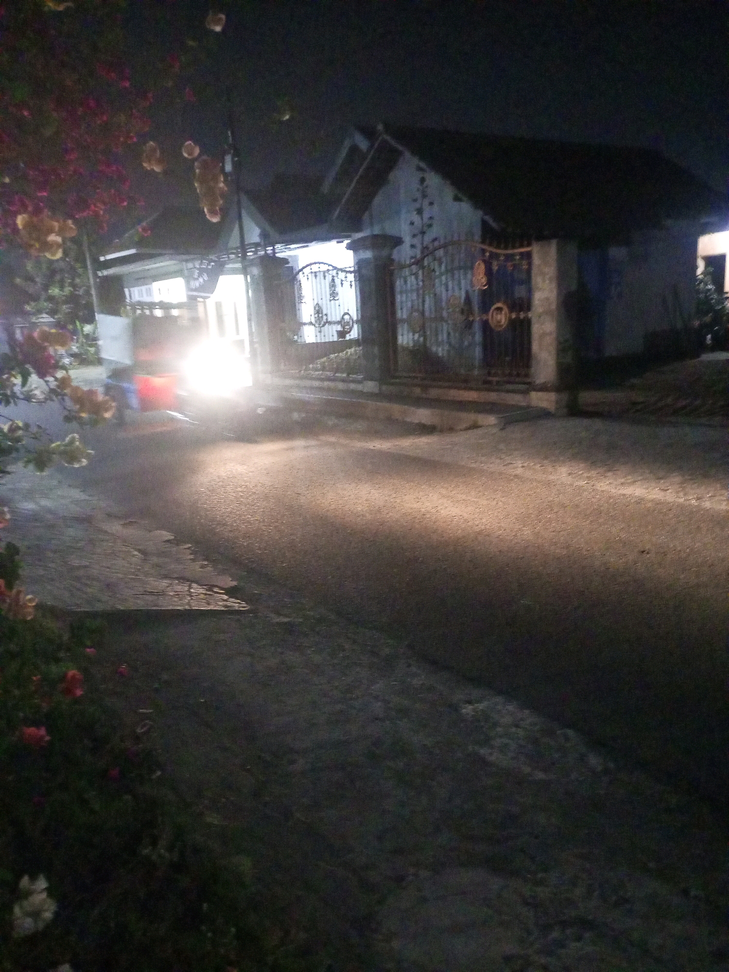 The image captures a dimly lit street scene at night in Ngasem, Indonesia. A vehicle with bright headlights is approaching from the left, illuminating the asphalt road and a portion of the sidewalk. To the right of the road, there is a traditional Indonesian house with a dark tiled roof and a white facade, enclosed by an ornate metal gate. The gate has decorative elements and is flanked by brick pillars. In the foreground, to the left, a bush with blooming flowers, predominantly pink and yellow, is visible. The overall atmosphere is quiet and rural, characteristic of a residential area in Ngasem.
