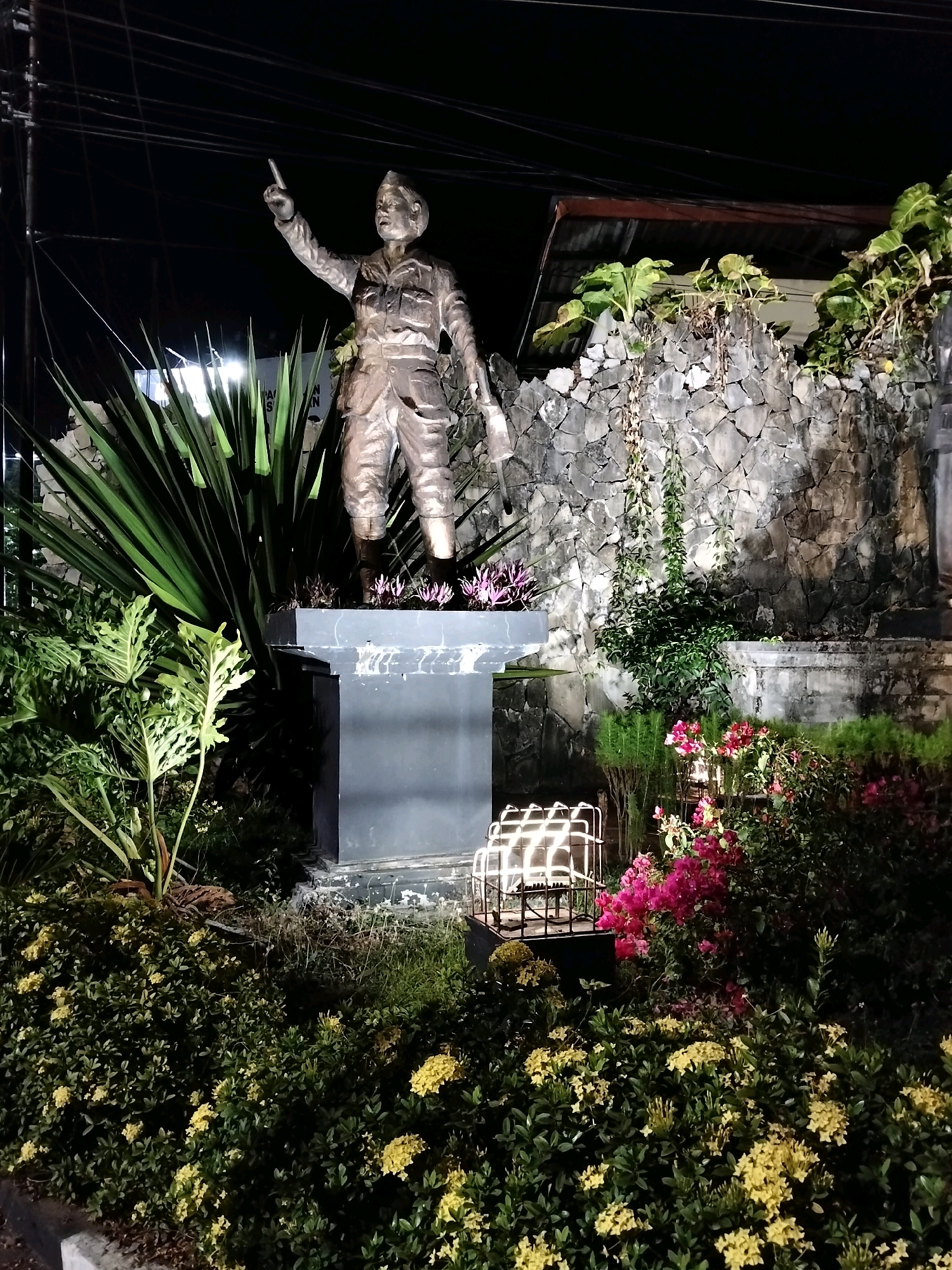 The image depicts a statue of a soldier, likely a historical figure, illuminated at night in a garden setting. The statue is made of a metallic material and portrays the soldier in uniform, with his right arm raised and pointing forward, and his left hand holding something at his side. The statue stands on a dark, rectangular pedestal, which is surrounded by lush vegetation.
In the foreground, a dense bed of yellow flowers is visible, with some pink bougainvillea flowers interspersed to the right. Behind the statue, a rustic stone wall forms the backdrop, with some hanging vines and green plants growing on it. To the left of the statue, a large, spiky plant with long green leaves is prominently displayed. In the background, there are hints of buildings and overhead electrical wires against the dark night sky. A cage-like structure with internal lighting is positioned to the left of the pink flowers, adding to the ambiance.
This statue is located at Alun-Alun Purworejo, a public square in Purworejo, Indonesia, which often features monuments and green spaces. The overall scene suggests a well-maintained memorial or public art installation, enhanced by nighttime lighting.
