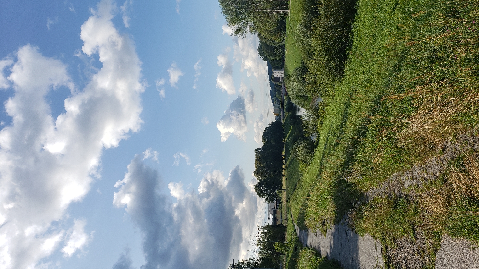 The image depicts a paved pathway winding through a grassy embankment along a calm river. The pathway, showing signs of wear and tear with visible cracks and patches of gravel, curves from the lower left of the frame into the middle distance. Dense green grass and weeds grow abundantly on both sides of the path and the embankment. The river flows gently through the scene, bordered by lush vegetation and trees on its far bank. In the background, several buildings of varying sizes and architectural styles are visible, nestled among trees. A bridge crosses the river in the mid-ground, and a taller, modern structure stands to the right of the bridge. The sky above is a bright blue, dotted with fluffy white clouds, some of which are darker and more dramatic, suggesting a partly cloudy day. The overall impression is a tranquil, natural setting within an urban environment, likely a park or recreational area. This scene is consistent with areas along the Torysa River in Prešov, Slovakia, particularly pathways and green spaces often found near urban development and infrastructure. There are no identifiable people or animals in the image.