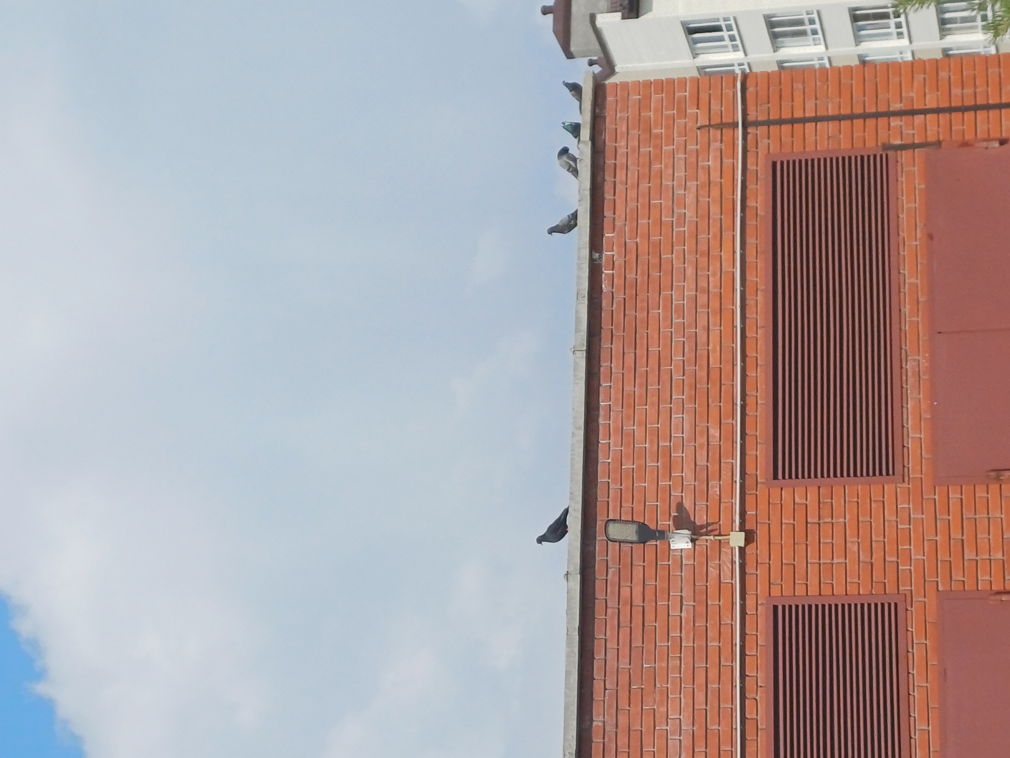 This media file depicts the exterior of a brick building under a clear, pale blue sky with scattered clouds. Several pigeons are perched on the ledge of the building, with one pigeon in flight near a streetlamp attached to the brick wall. The building features prominent vertical vents and what appears to be large, dark red doors or panels. The architecture suggests an urban or industrial setting, possibly a residential building or a utility structure. The lighting indicates it is daytime, with the sun casting shadows from the streetlamp. The overall scene is tranquil, with the pigeons appearing undisturbed. No text is visible in the image. The context provided places this scene in Elitnyi, Russia.