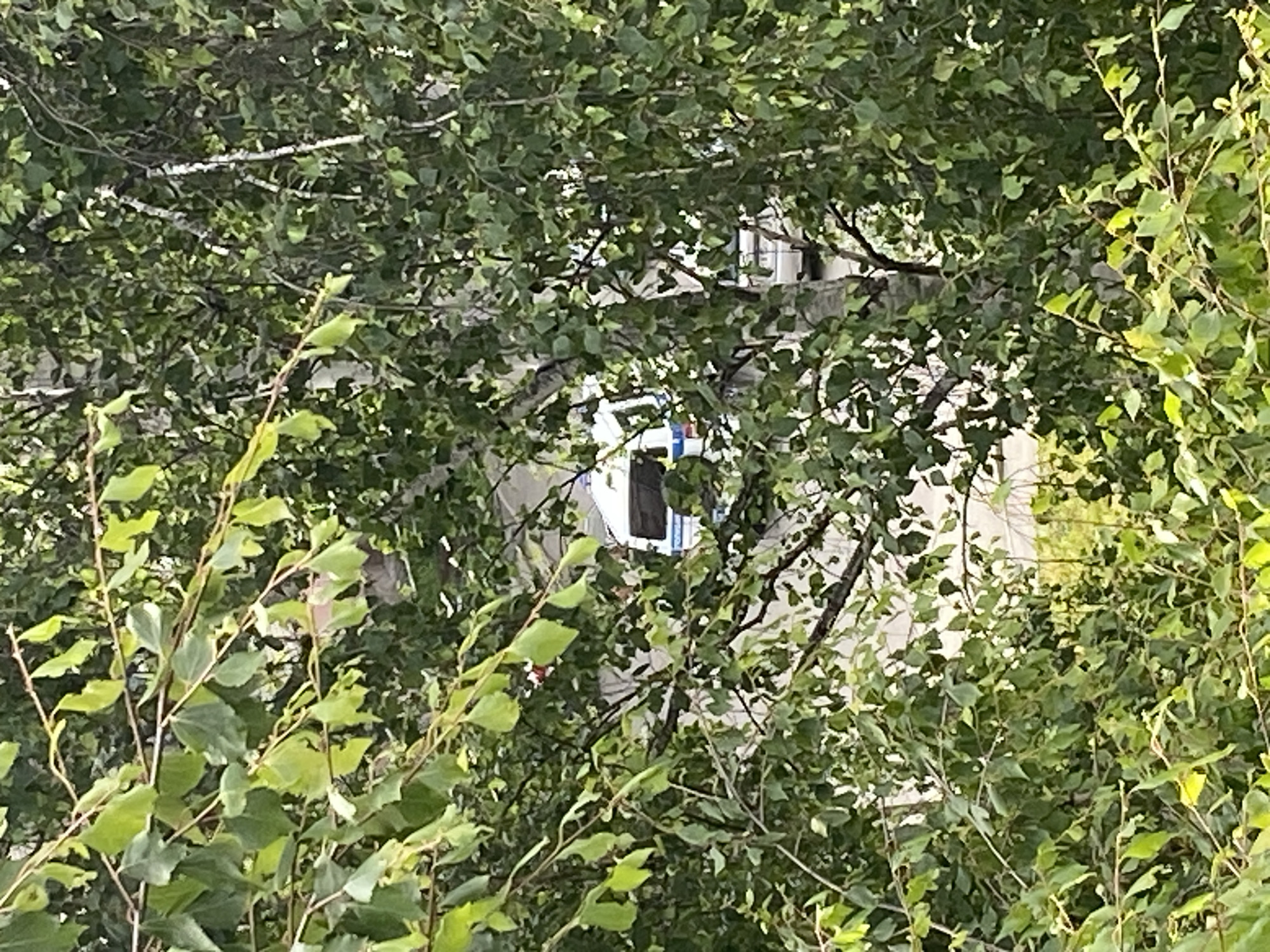 The image shows a white van with blue and red stripes, possibly a police vehicle, parked behind a dense foliage of green trees. The van is partially obscured by leaves and branches, making it difficult to see the full details. The environment appears to be outdoors, with the sunlight filtering through the leaves, suggesting it's daytime. The location is identified as Beloretsk, Russia. No people are visible in the image.