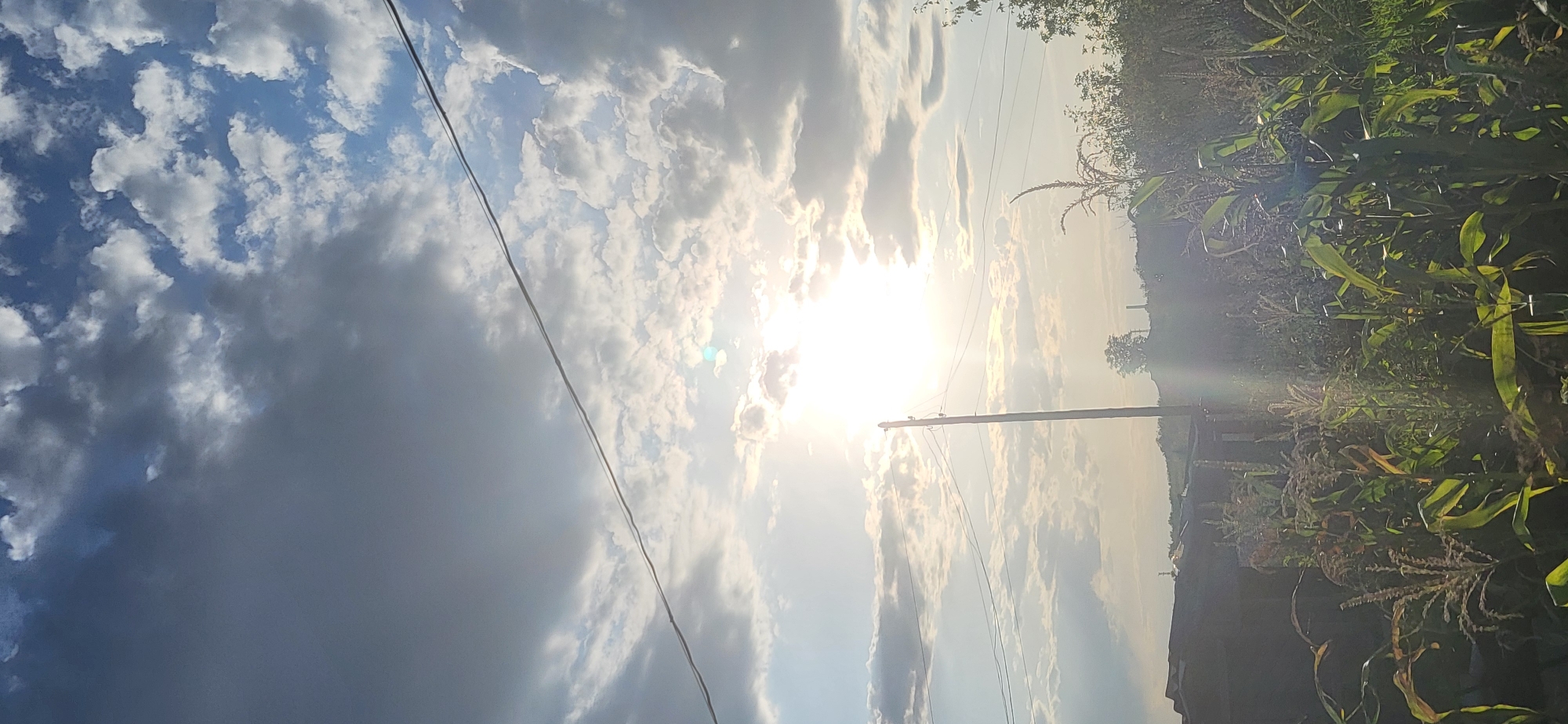 The image shows a rural landscape under a bright, partially cloudy sky. The sun is shining brightly, creating a lens flare effect. In the foreground, there is a field of tall green plants, possibly corn. A wooden utility pole stands prominently in the middle ground, with power lines extending across the frame. Behind the pole and field, there are some buildings or structures that appear to be sheds or outbuildings. The background consists of rolling hills covered in vegetation. The overall impression is of a warm, sunny day in the countryside.