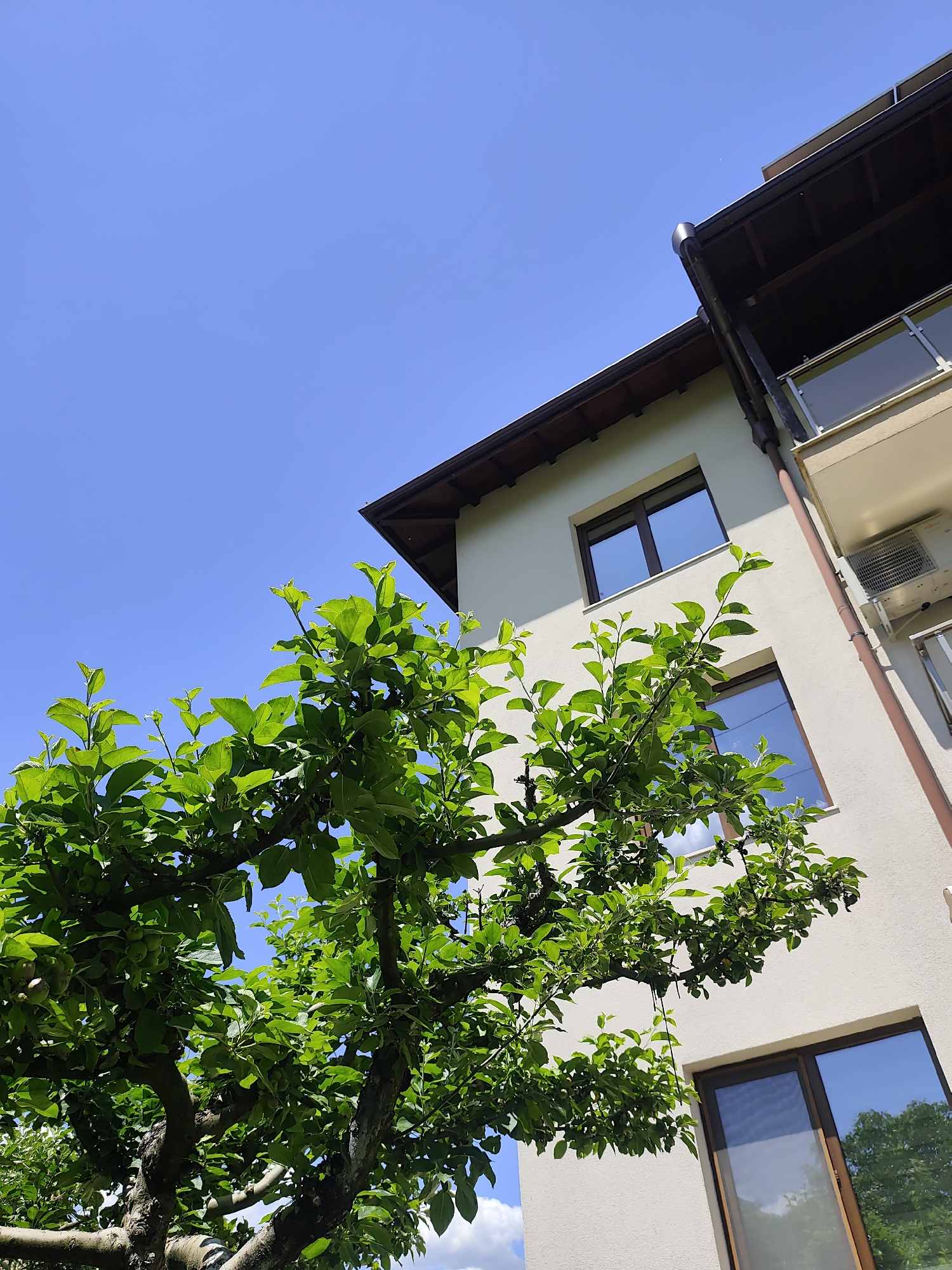 A low-angle shot of a tree and a building on a sunny day in Unknown, Unknown. The tree is on the left side of the frame, and it has green leaves. The building is on the right side of the frame, and it has a white exterior with brown trim around the windows and roof. The building also has a balcony with a glass railing and an air conditioning unit. The sky is blue and cloudless.