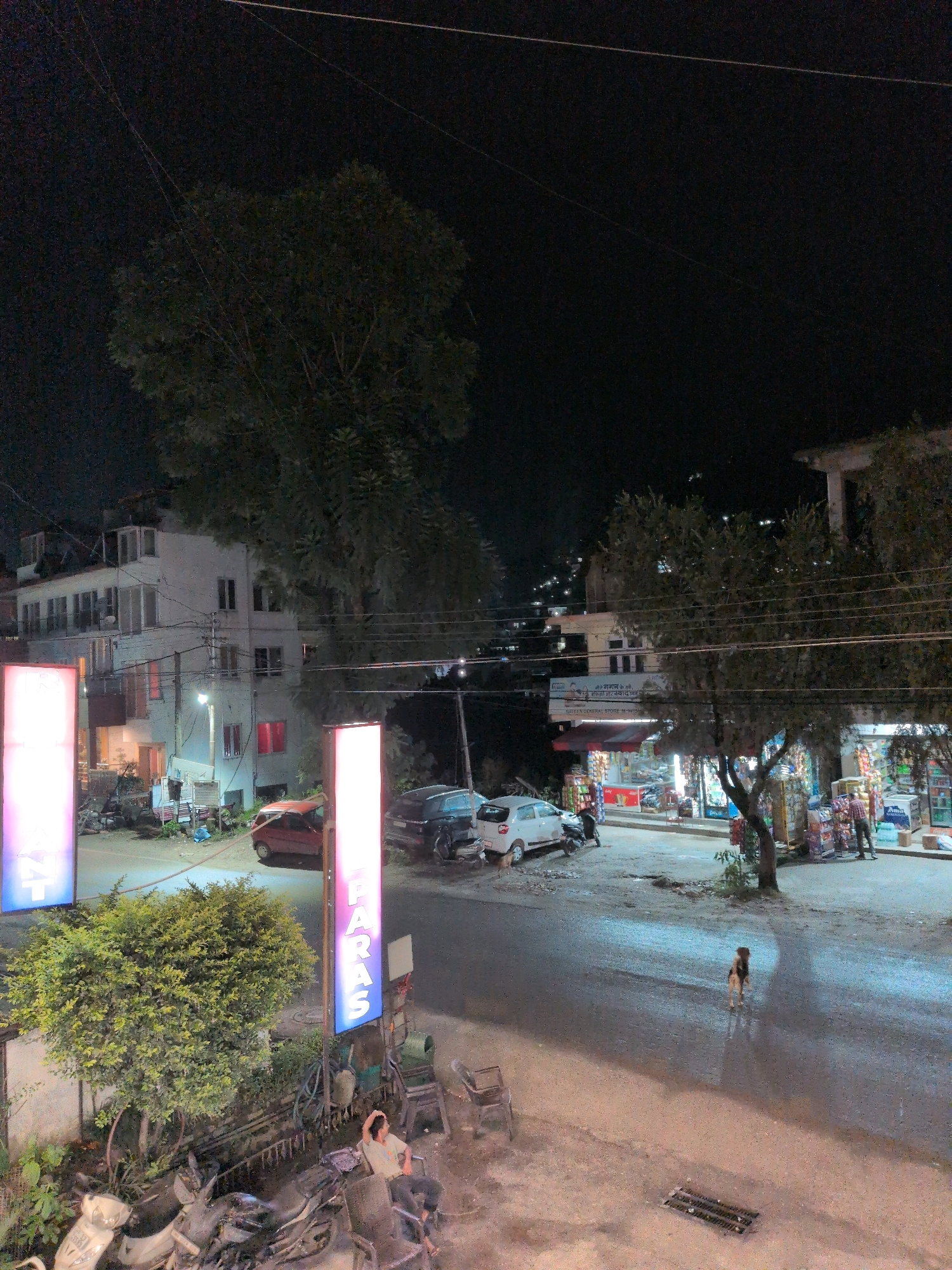The image captures a nighttime street scene in Mandi, India, with a view overlooking a road and buildings. The street is wet, suggesting recent rain, and reflects the ambient light from streetlamps and illuminated signs. Several vehicles are parked or driving on the road, including a red car, a white car, and a dark SUV. A small dog stands in the middle of the wet street, facing away from the camera.
On the left side of the image, a tall, rectangular light-up sign displays pink and blue lettering, partially obscured by a bushy green tree. Further to the right, another similar sign, predominantly illuminated in pink and blue, reads "PARAS." In front of the "PARAS" sign, several chairs are placed on the sidewalk. A person is seated on one of these chairs, facing to the left and away from the camera.
Behind the street, buildings of varying heights are visible. The building closest to the foreground on the left is a multi-story structure with several windows. To the right, a row of shops lines the street, their interiors illuminated and displaying products on shelves. One shop appears to be a general store with an awning. Trees are scattered throughout the scene, some casting shadows on the road. Power lines are strung across the upper portion of the image. The overall atmosphere is that of a quiet, somewhat dimly lit urban environment at night.