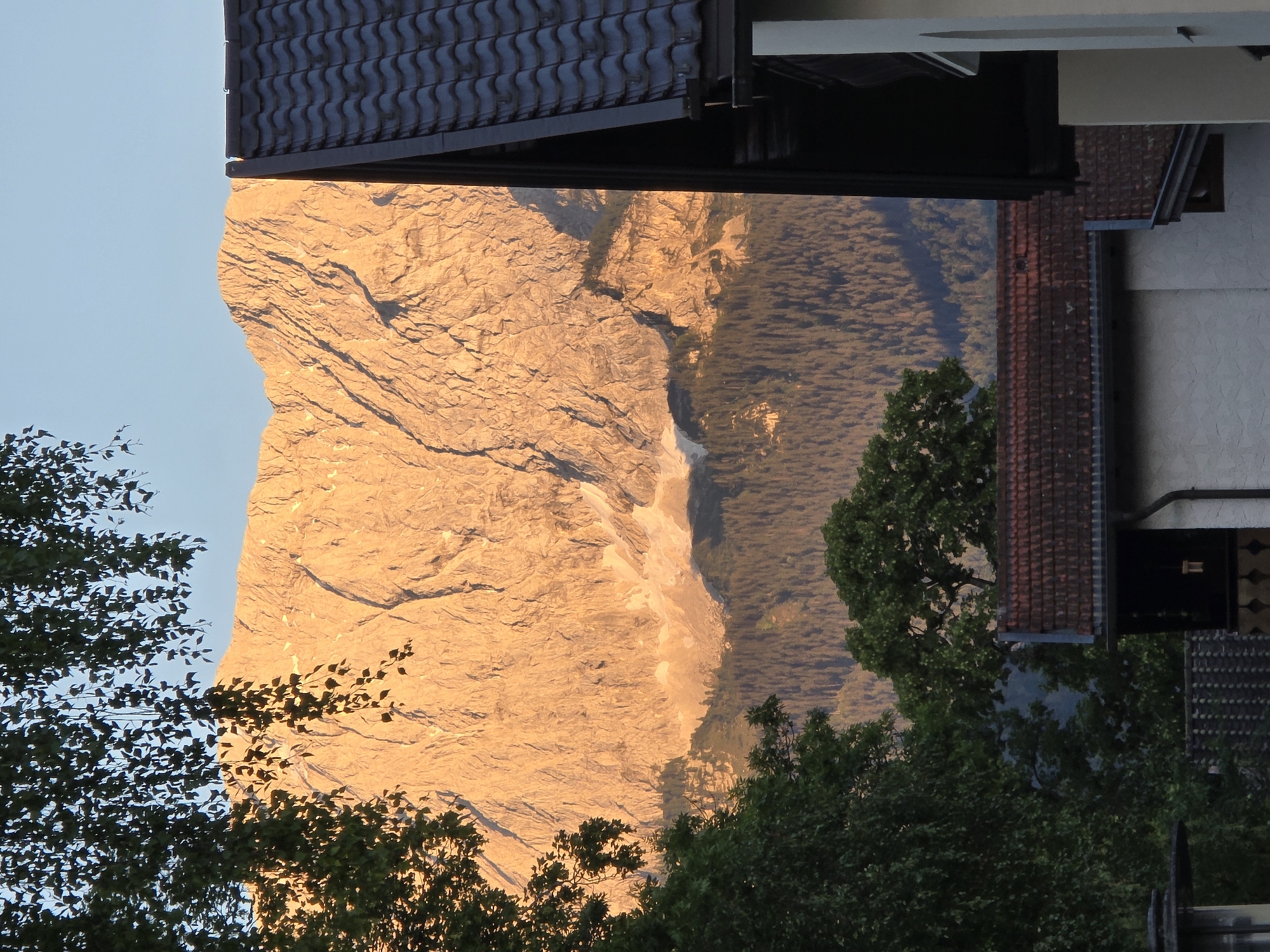 The image captures a mountain range bathed in the warm glow of sunset, likely the Zugspitze, Germany's highest peak, visible from Garmisch-Partenkirchen. In the foreground, the dark, tiled roof of a building juts into the frame on the right, contrasting with the softer, sunlit slopes of the mountains. The middle ground is filled with a dense forest of evergreen trees, creating a textured band between the rocky mountain faces and the foreground structures. In the lower portion of the image, a cluster of houses with red-tiled roofs and white walls are partially visible, suggesting a residential area within or near Garmisch-Partenkirchen. Lush green trees, some with delicate, drooping leaves, frame the scene from the left and also appear scattered amongst the houses. The sky above is a clear, pale blue, indicating fair weather.