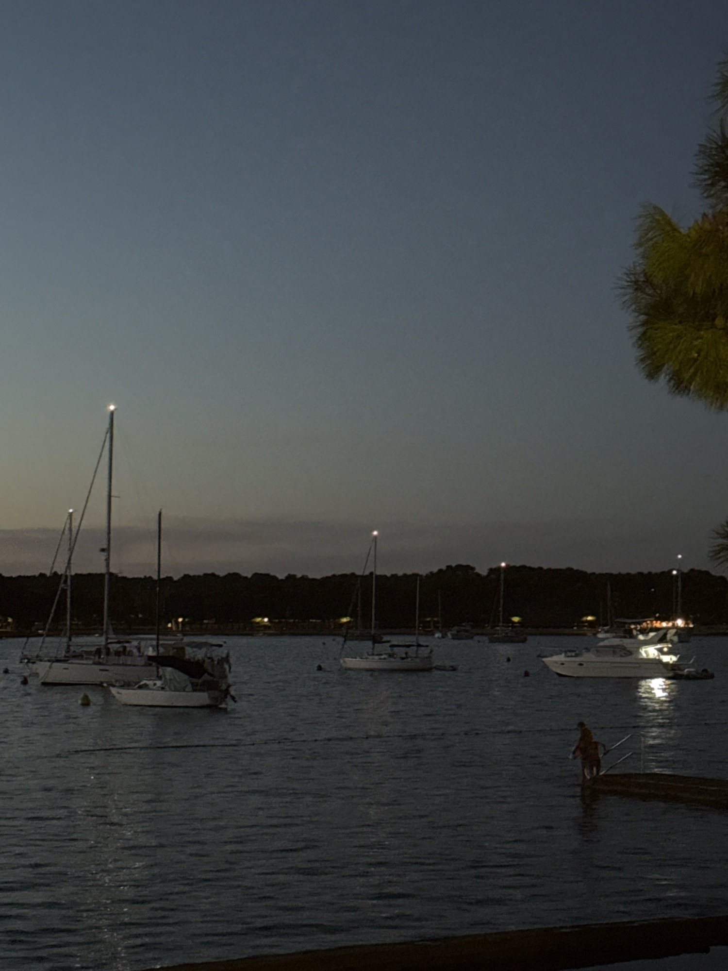 The image depicts a dusk scene in the city of Novigrad, Croatia. Several sailboats are anchored in a calm body of water. In the foreground, a wooden pier extends into the water, and two individuals are visible on or near it. The sky is a gradient of deep blue to a lighter gray, with a hint of twilight. The shoreline in the background is lined with dark trees, punctuated by a few scattered lights. A palm frond is visible in the upper right corner, suggesting a Mediterranean climate. The water's surface is disturbed by gentle ripples, reflecting the dim ambient light and the lights from the boats and shore. The overall atmosphere is serene and peaceful, indicative of the end of a day in a coastal city.