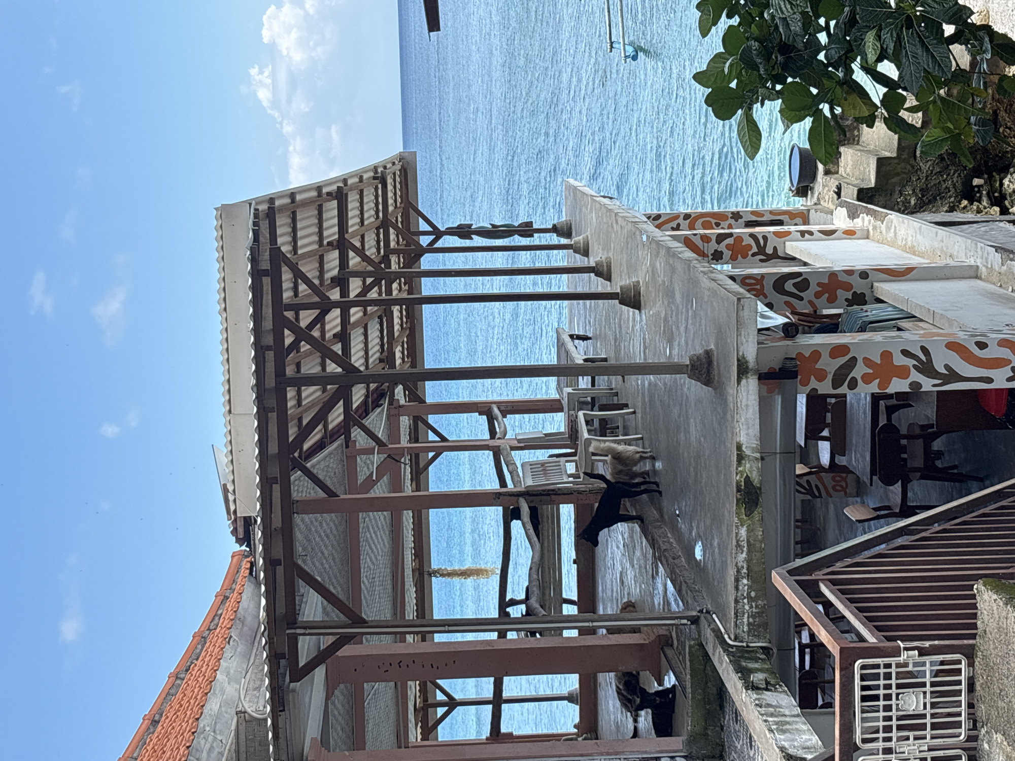 The image shows a coastal scene in Uluwatu, Indonesia. A partially constructed wooden structure with a corrugated metal roof stands on the left, while a concrete building with patterned designs on the walls is visible on the right. The open framework of the wooden structure offers a view of the ocean and sky. Chairs and tables are present within the concrete building. Several cats roam in the scene. The background is dominated by the ocean and the blue sky with some clouds. Vegetation is seen near the edge of the frame.