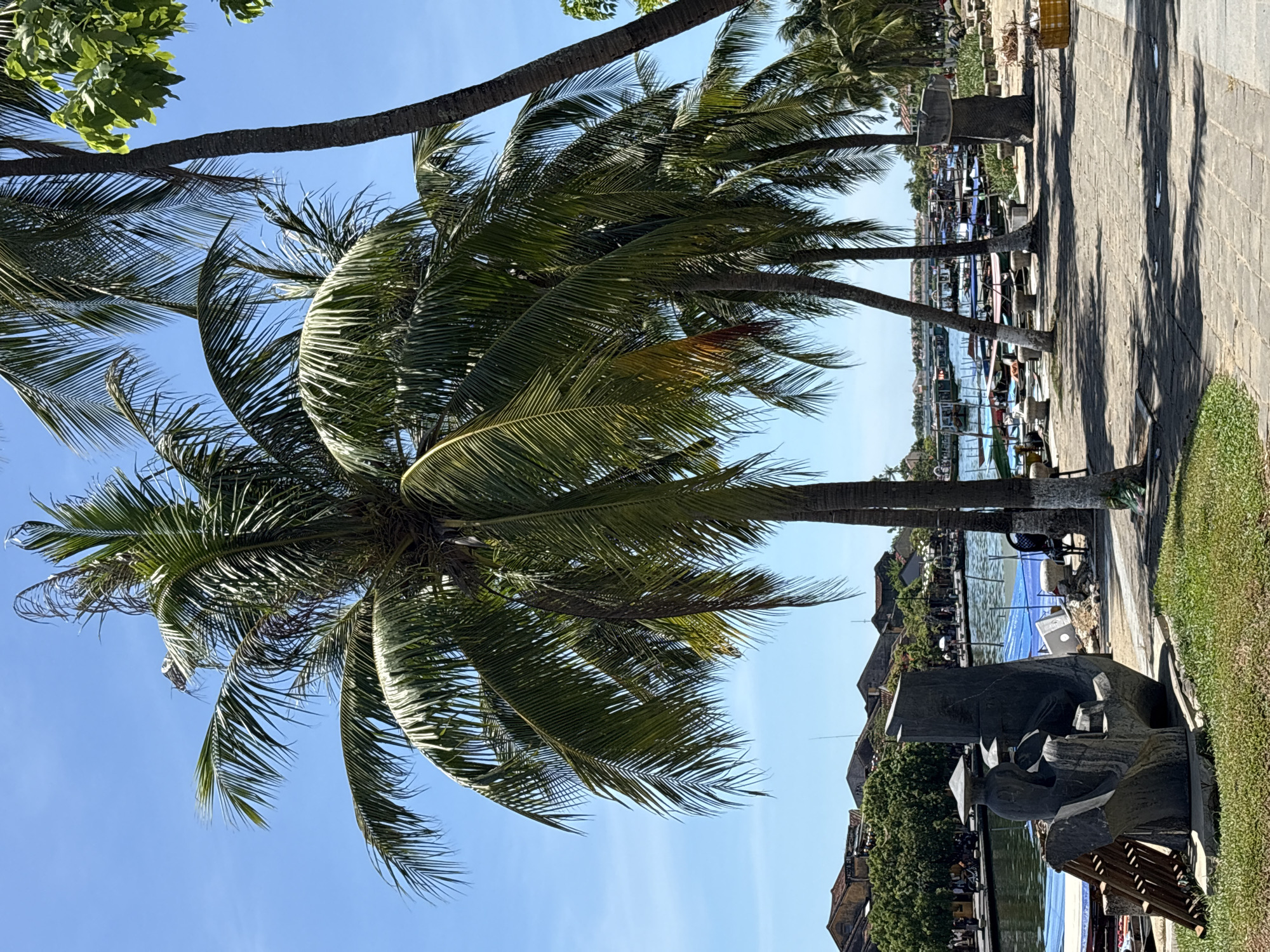 This image depicts a scenic view of the Thu Bon River in Hoi An, Vietnam. The foreground is dominated by several palm trees, their fronds casting dappled shadows on a paved walkway. To the left, a stone sculpture featuring stylized human figures is situated on a patch of grass. The river itself is visible in the midground, filled with numerous boats, some of which are covered with blue tarps. The far bank of the river is lined with traditional Vietnamese houses with tiled roofs. The sky is a clear, bright blue, indicating a sunny day. The overall impression is one of a peaceful, tropical riverside setting.