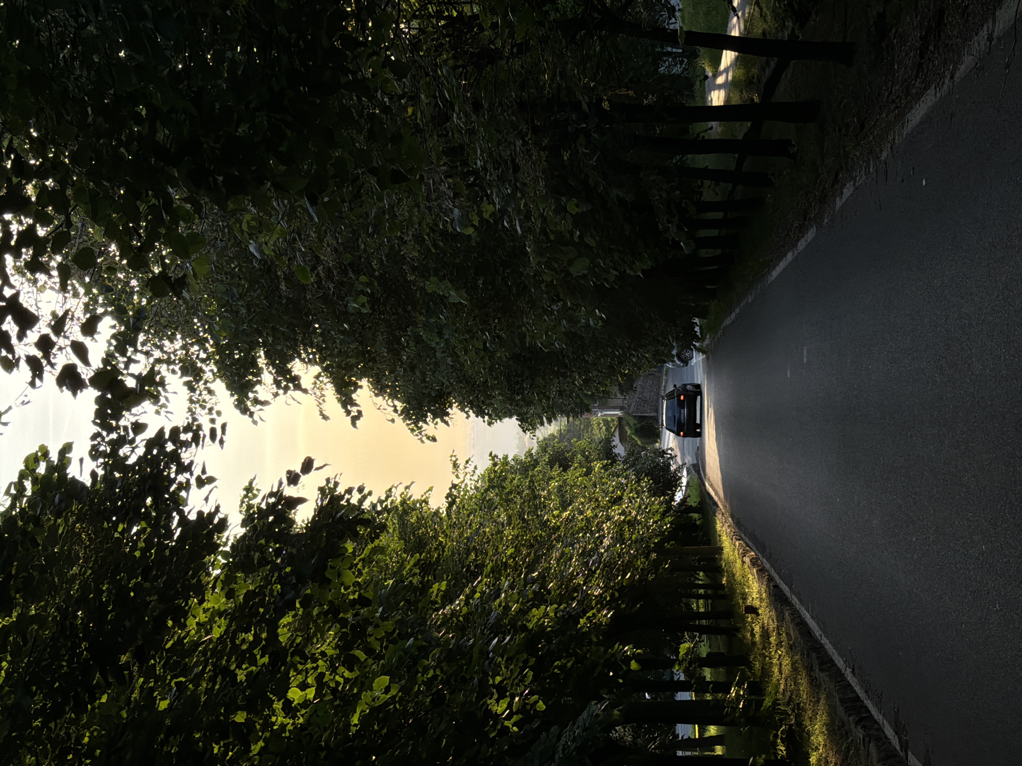An eye-level, wide-angle shot depicts a paved road stretching into the distance, flanked by trees. The trees on either side form a dense canopy overhead, creating a tunnel-like effect. The road leads toward a bright horizon. A dark car is visible in the distance, positioned on the right side of the road, and appears to be in motion. The location is likely Vozdovac Urban Municipality, Serbia, suggested by the presence of tree-lined roads, common in urban environments.