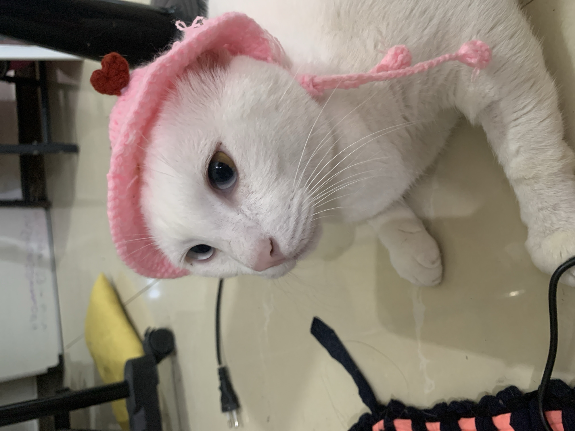 A white cat wearing a pink knitted hat with a red heart adornment is lying on a tiled floor. The cat has heterochromia with one blue eye and one brown eye, and its whiskers are visible. To the left of the cat, a black cable is visible, and further to the left, a dark blue and pink striped fabric is present. In the background, a yellow cushion lies on a black metal object with wheels, and a black cylindrical object stands to the right. The scene is indoors, with the lighting suggesting a domestic environment. There is no indication of the location being Sukawati, Indonesia.